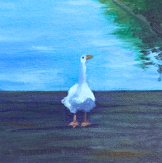 16. Eur Duck