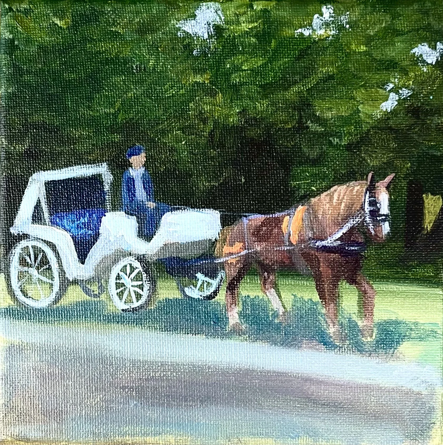 17. Central Park Stroll