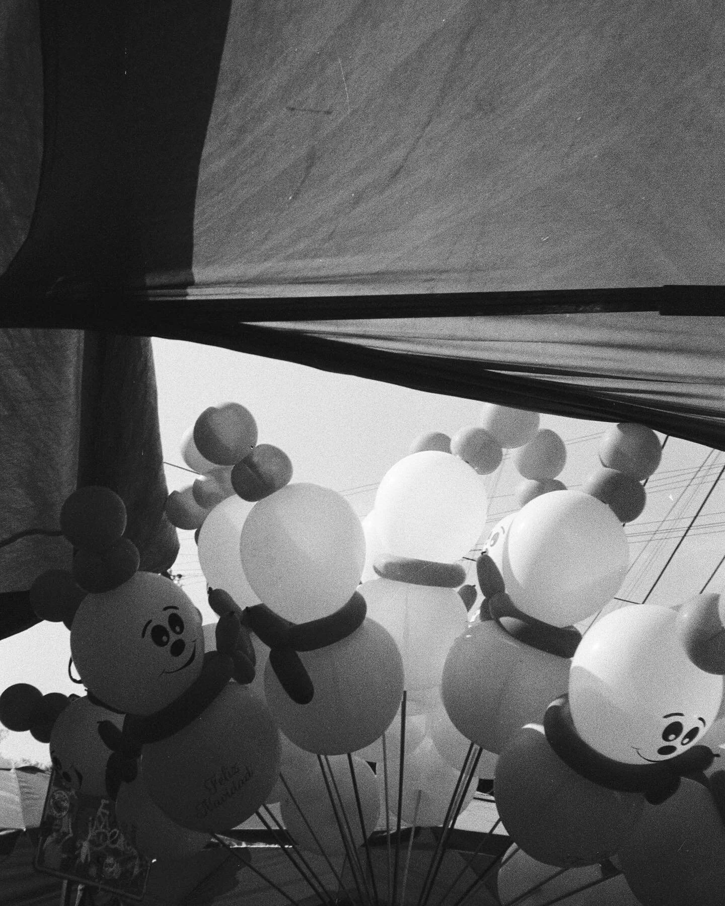 HP5 + Olympus AF10-Twin 
Rev / Scan: @fotohercules 
.
.
.
.
.
.
.
.
#35mm #disparafilm #mextagram #olympus #ishotfilm #staybrokeshootfilm #analoguevibes #filmfeed #olympusaf10 #hp5 #blackandwhite #streetphotography