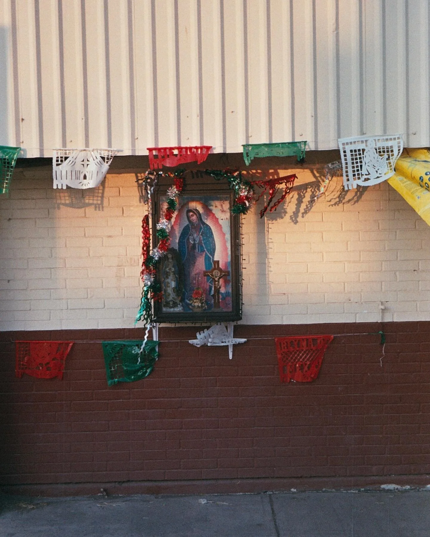 Un dumpsito navide&ntilde;o del 2022 🎄
Rev/scan: @fotostarmx 
P&amp;S Olympus Styluz + c200
.
.
.
.
.
.
.
.
.
.
#35mm #fujicolorc200 #v