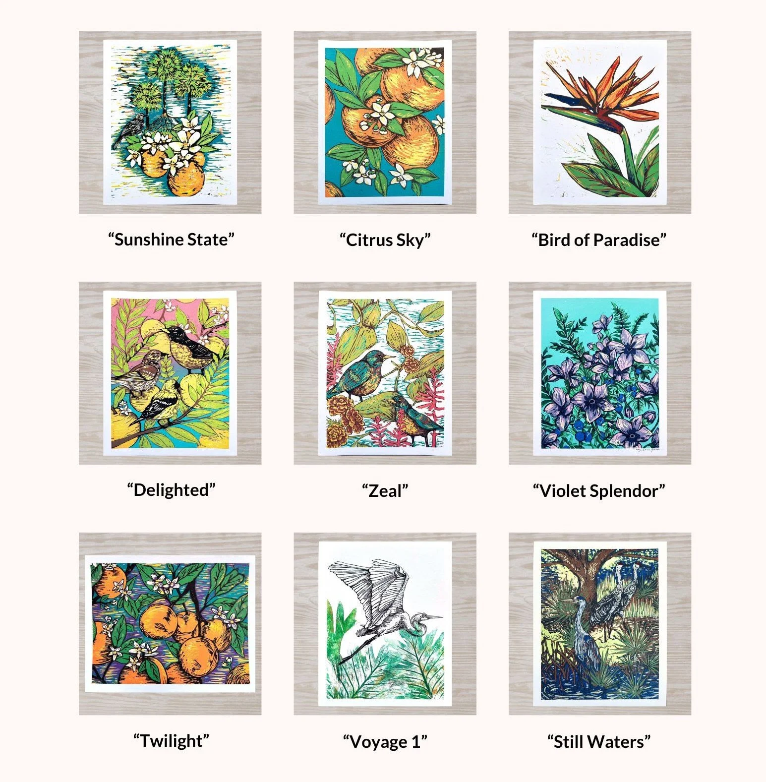 V1 Product Sheet.jpg