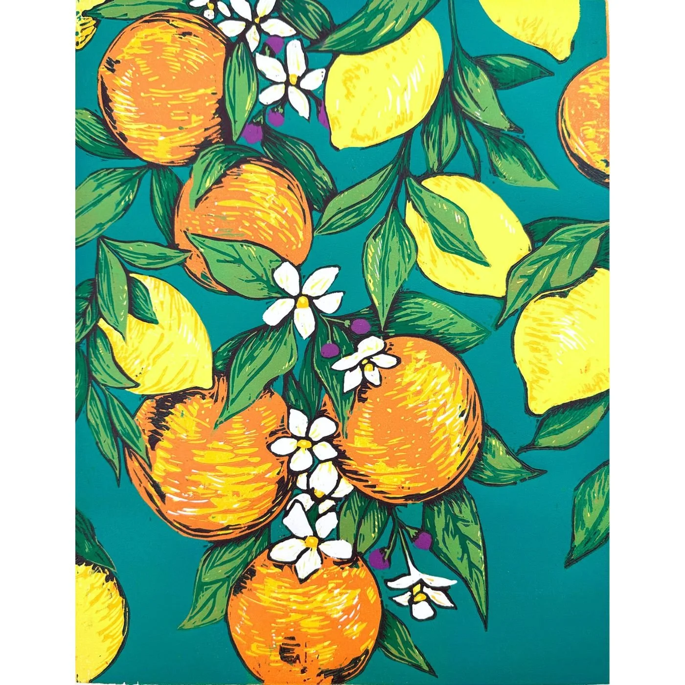 Citrus Grove