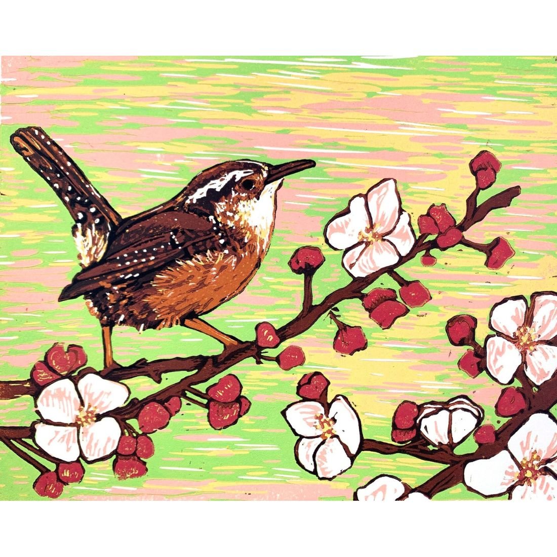 Red Blossom Wren