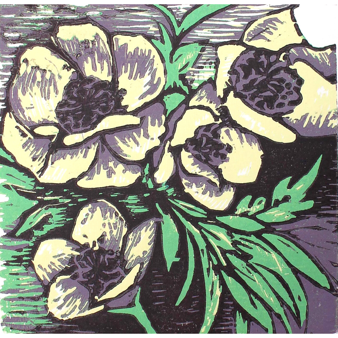website background (19).png