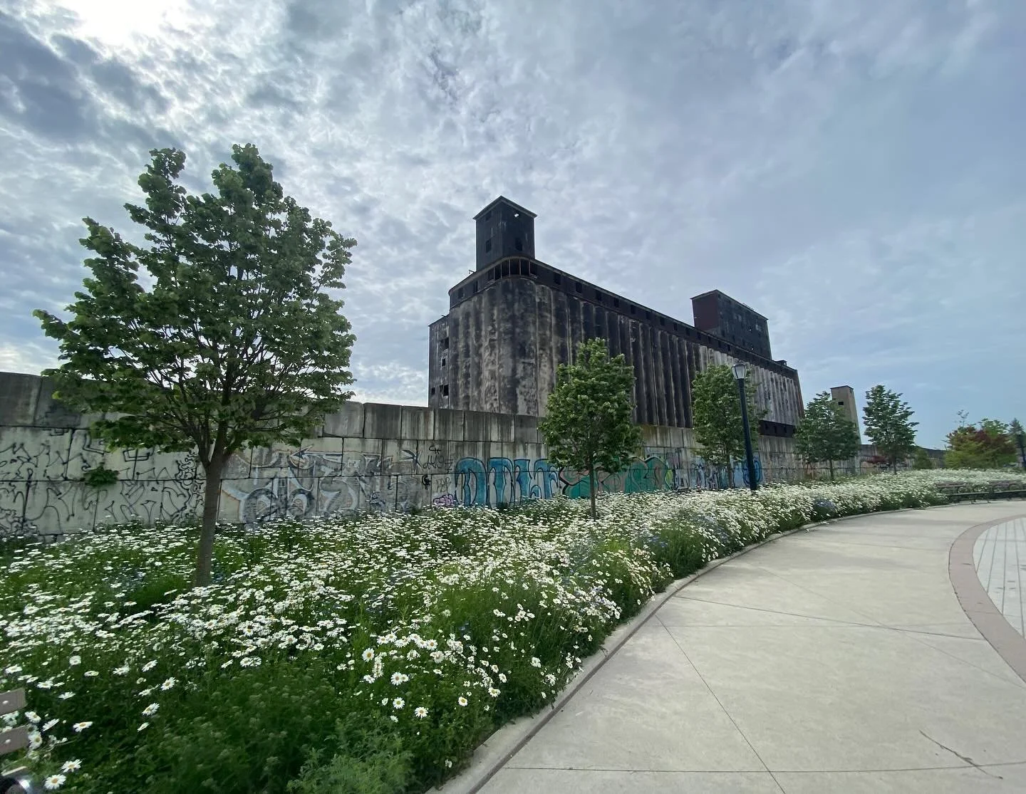 Views from the back side of the long-abandoned Red Hook Grain Terminal. Photos taken from a shiny, new redeveloped park with baseball and other fields. Lucky to be in this spot to watch a game today. More info at link in bio.