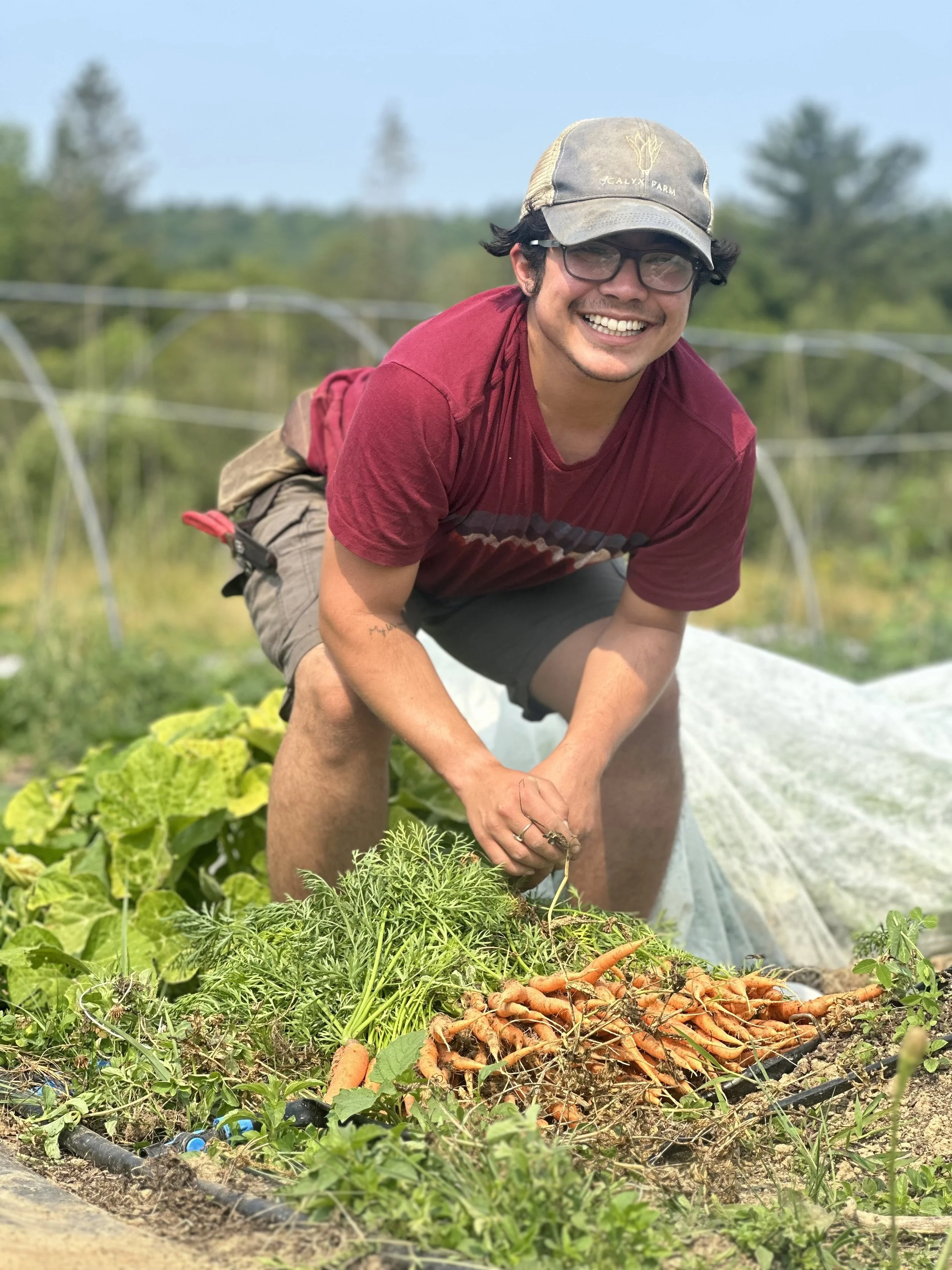 Left: Matt harvesting the first round of Yonsei Fields carrots!