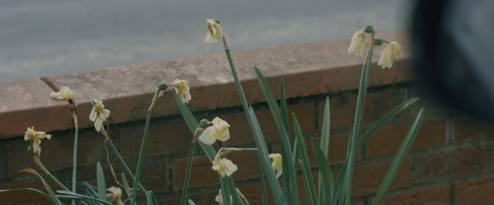 Copy of Screenshot 2024-05-26 121621.png