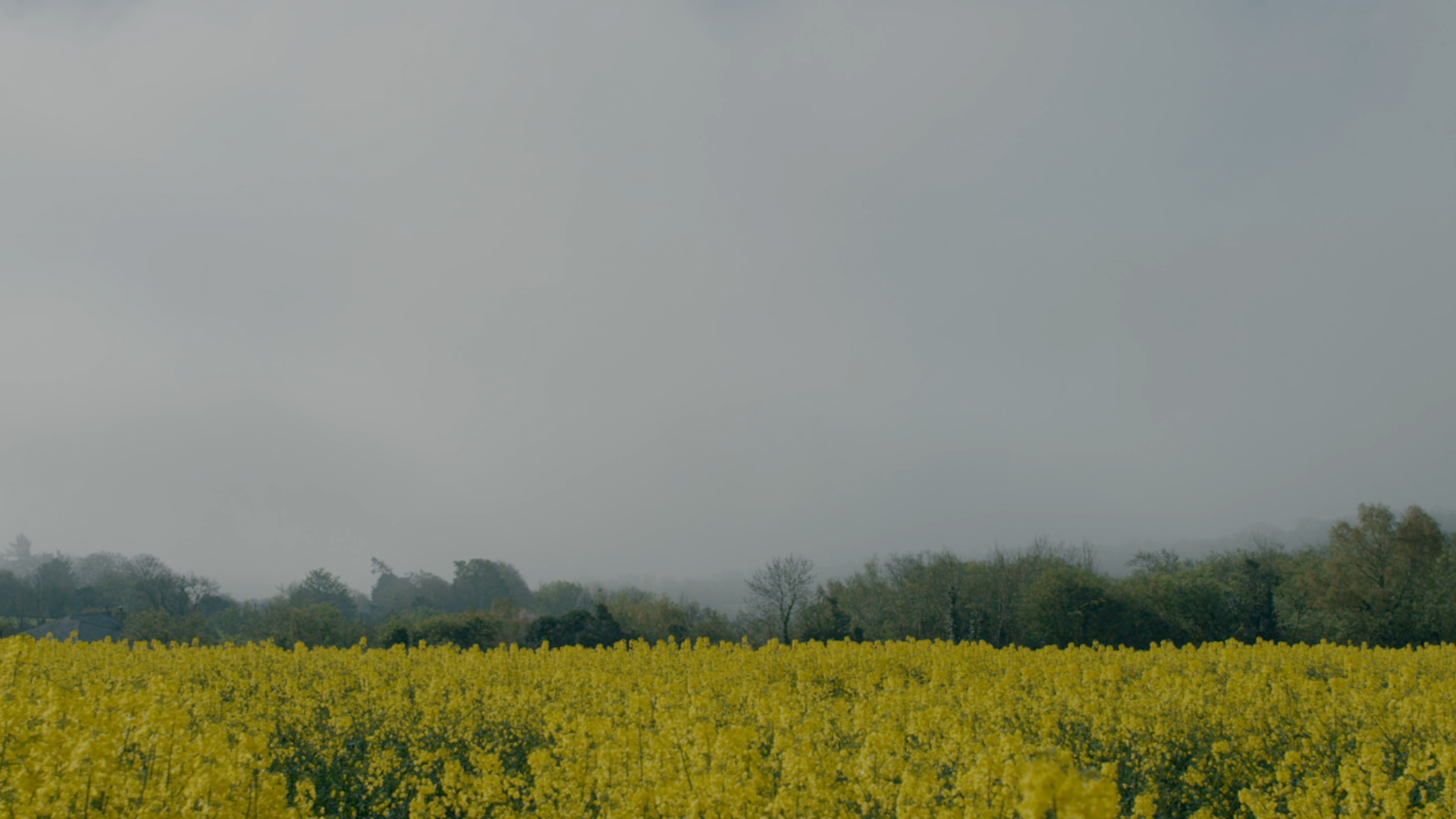 Copy of Screenshot 2024-05-26 121323.png