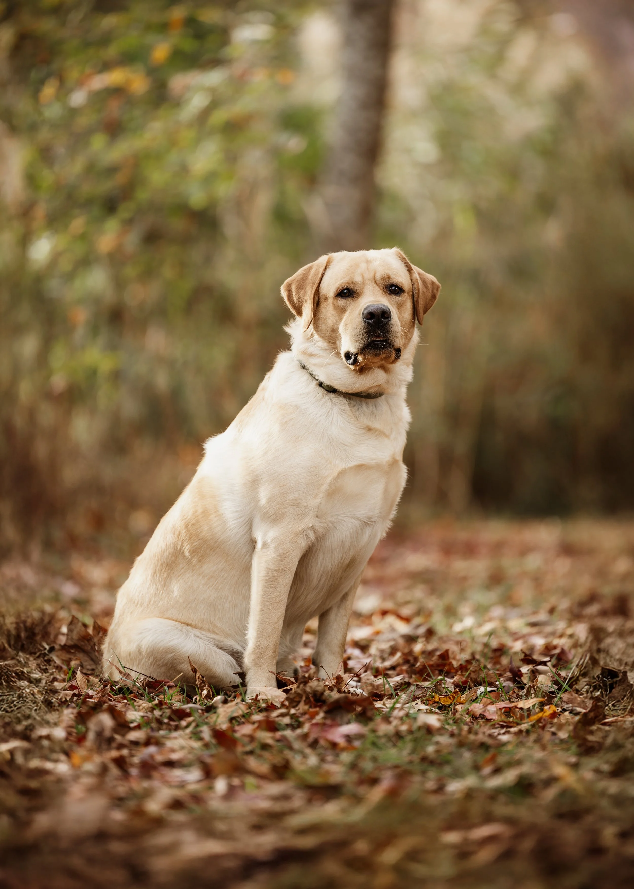 553A0125-Edit-Edit.jpg