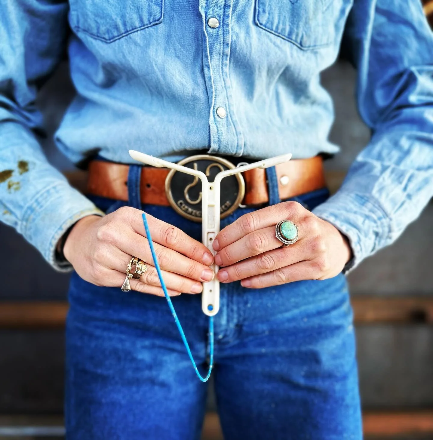 IUD‽  Glad they make human ones a little smaller! This is actually a device called a CIDR and rather than prevent pregnancy, it encourages breeding by synchronizing estrous. The CIDR goes in the vagina for seven days before artificial insemination. #