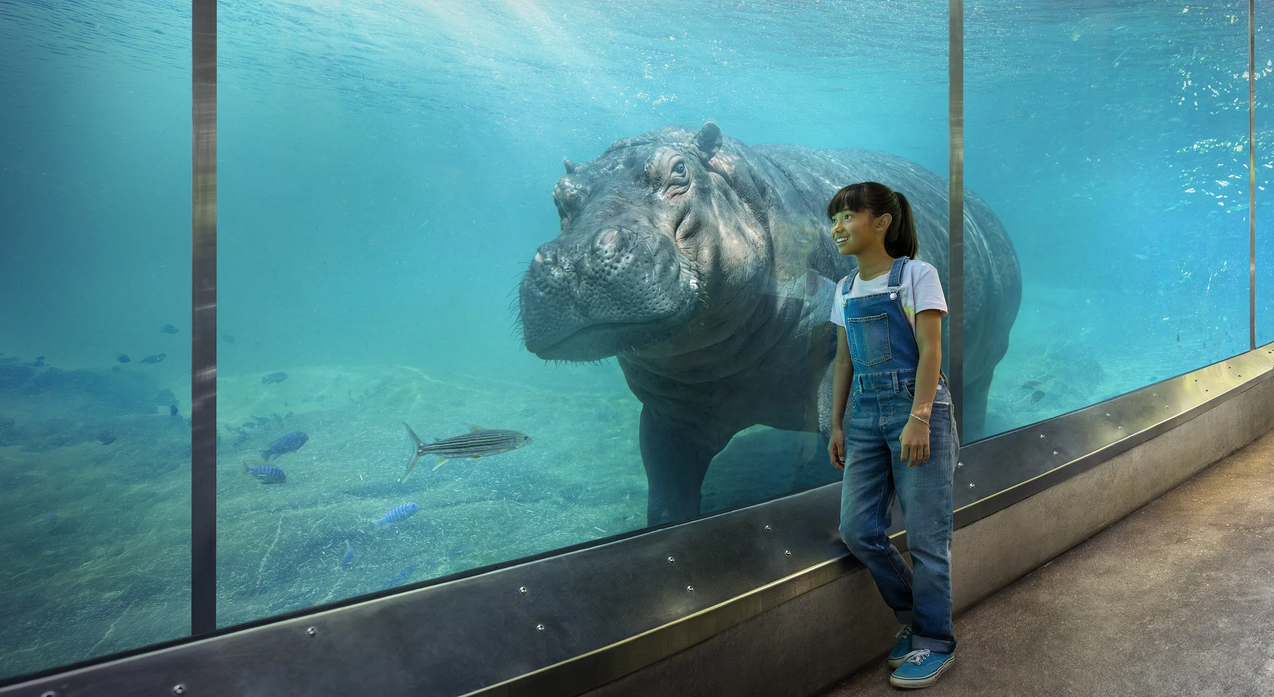 04_Hippo_2332_wip2.jpg