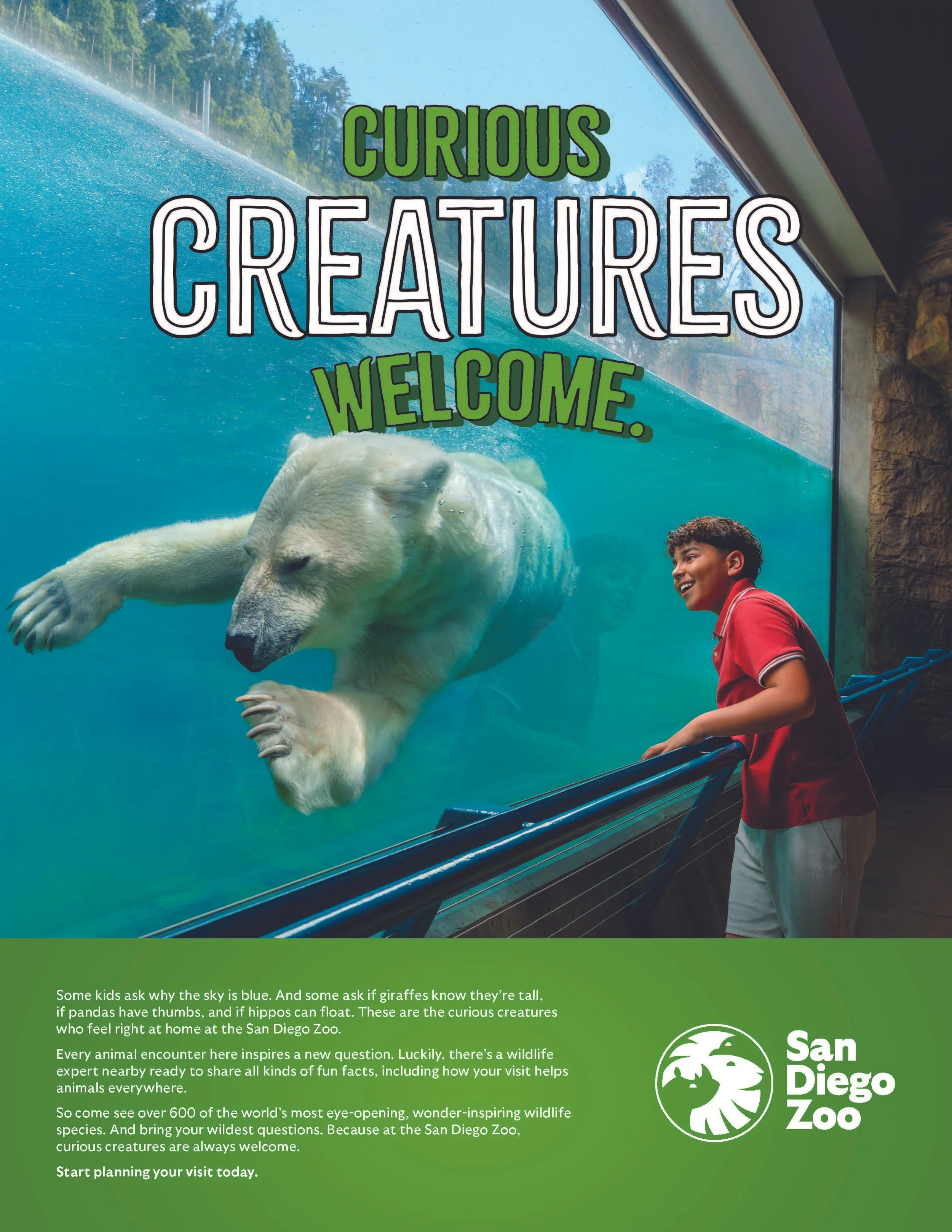 SDZWA_FY26CuriousCreatures_PolarBear_Print_8.jpg