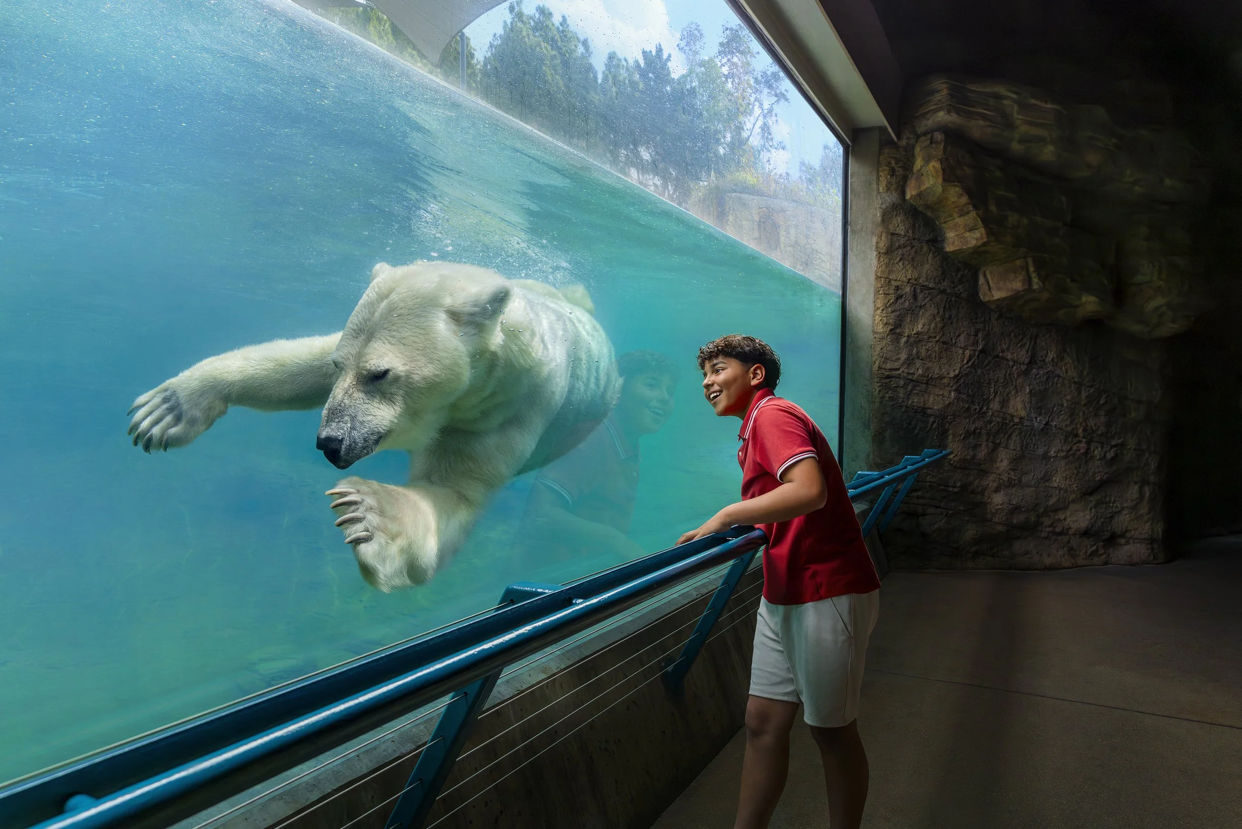 01_Polar Bear_0387_wip1.jpg