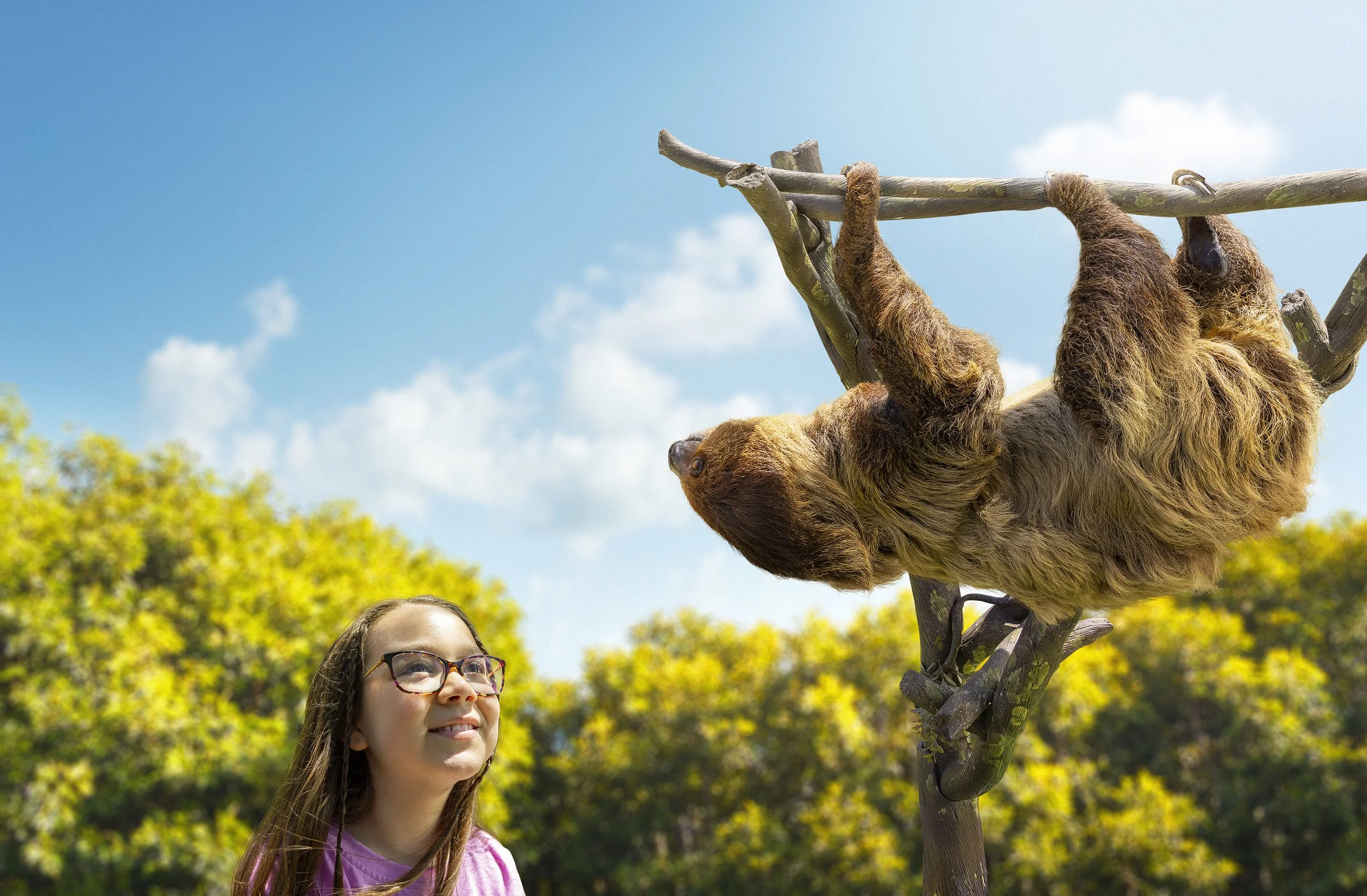 Sloth_wip2.jpg