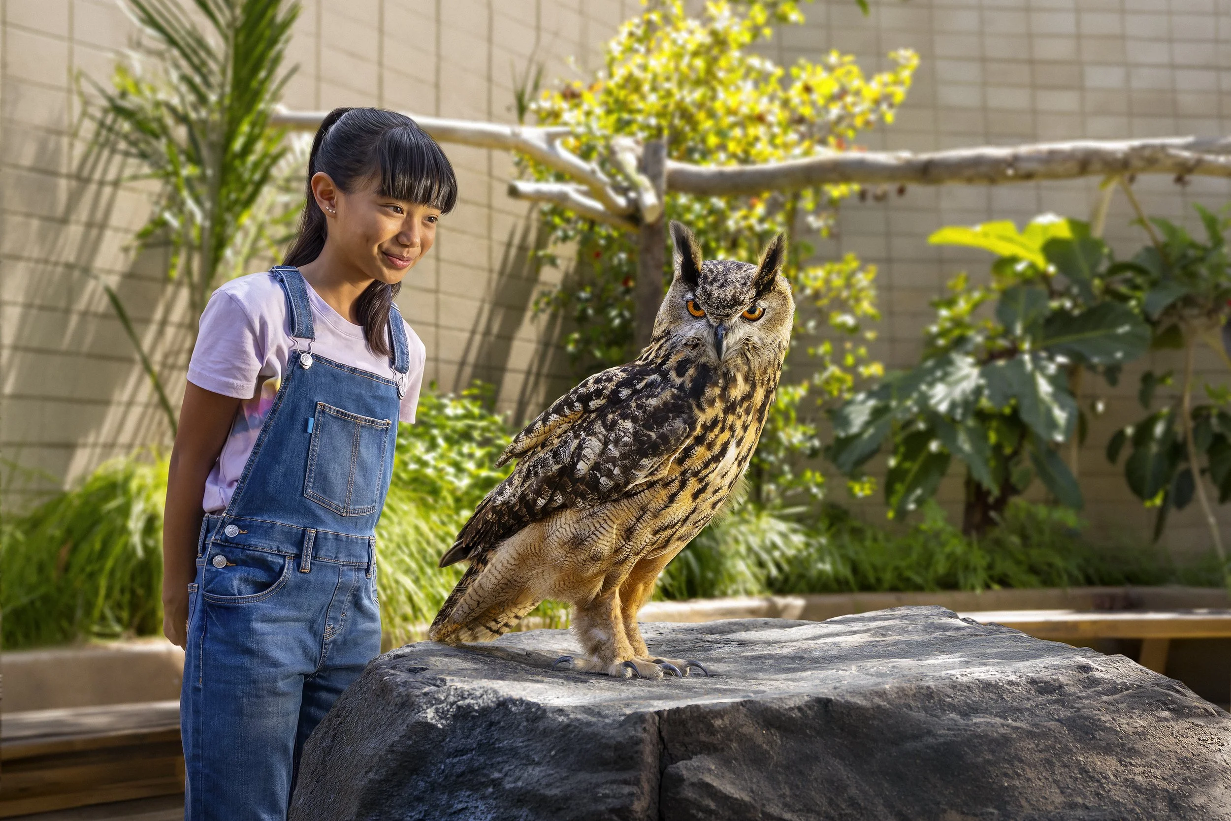 Owl_wip1.jpg