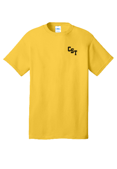 DOSS-CST-yellow.png