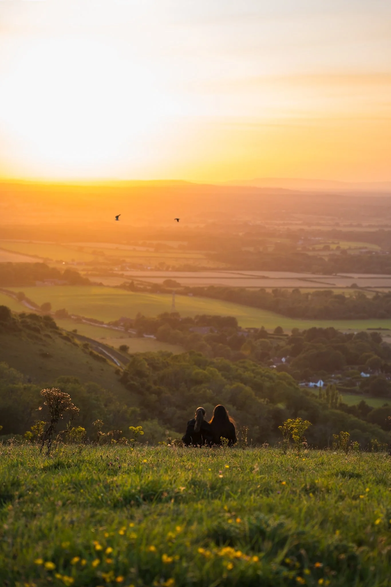 Jess & Scarletts Engagement-27.jpg