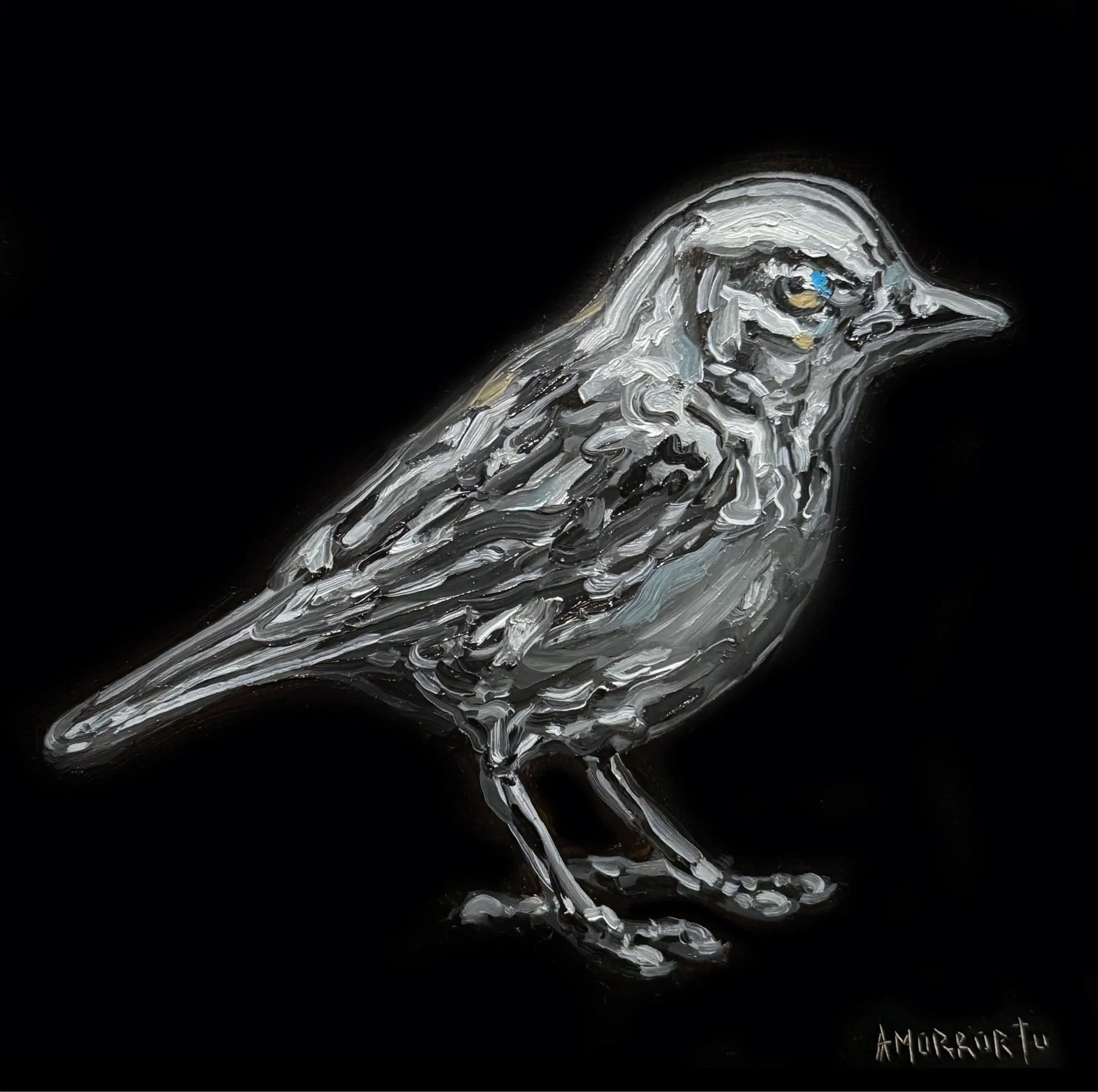 pigeon.jpg