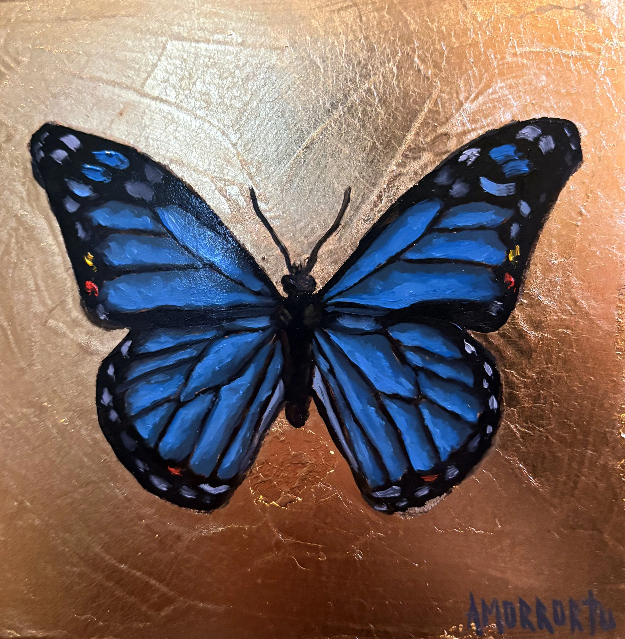 butterfly.jpg