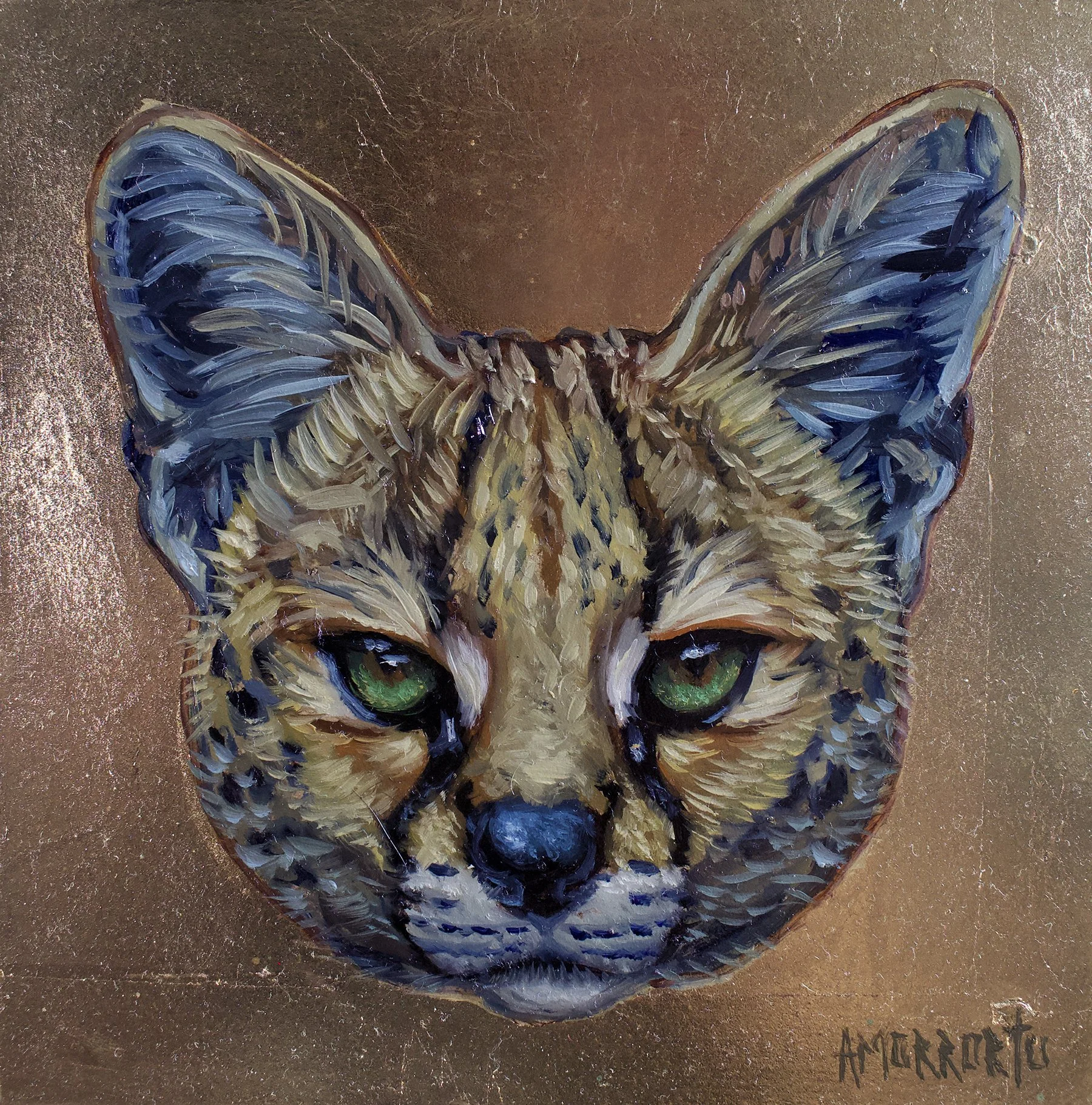 cheetah.jpg