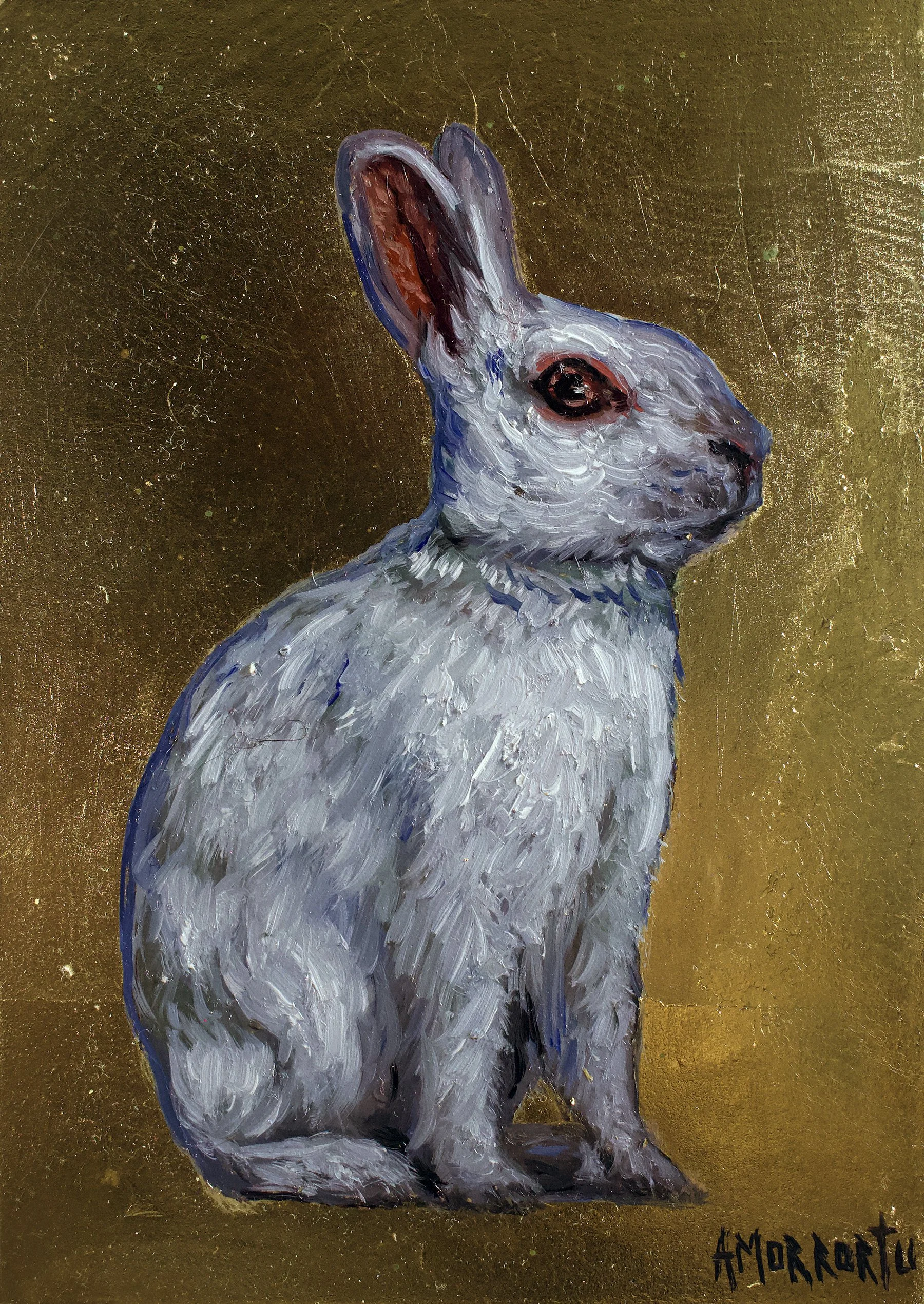 bunny.jpg