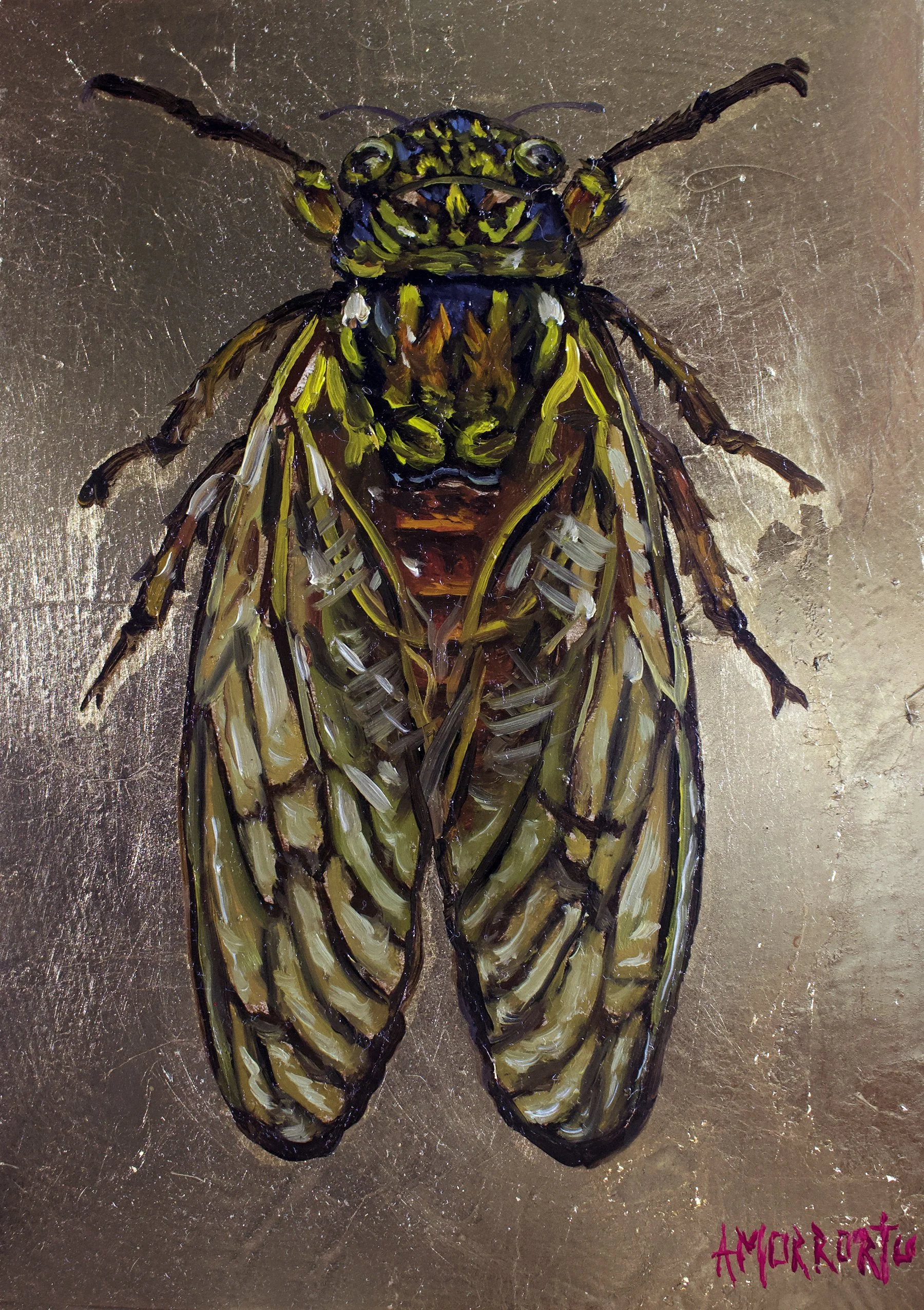 cicada.jpg