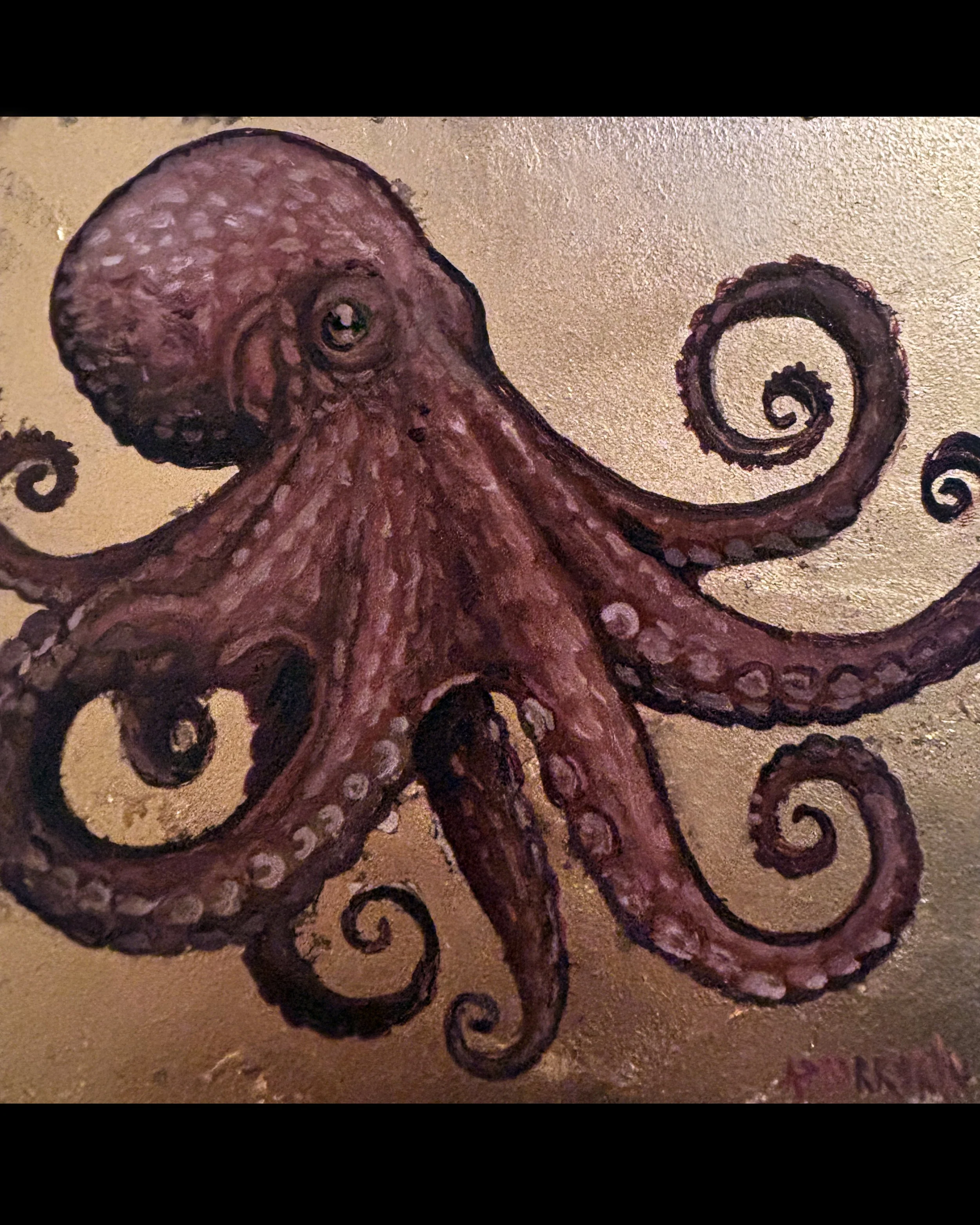 octopus.jpg