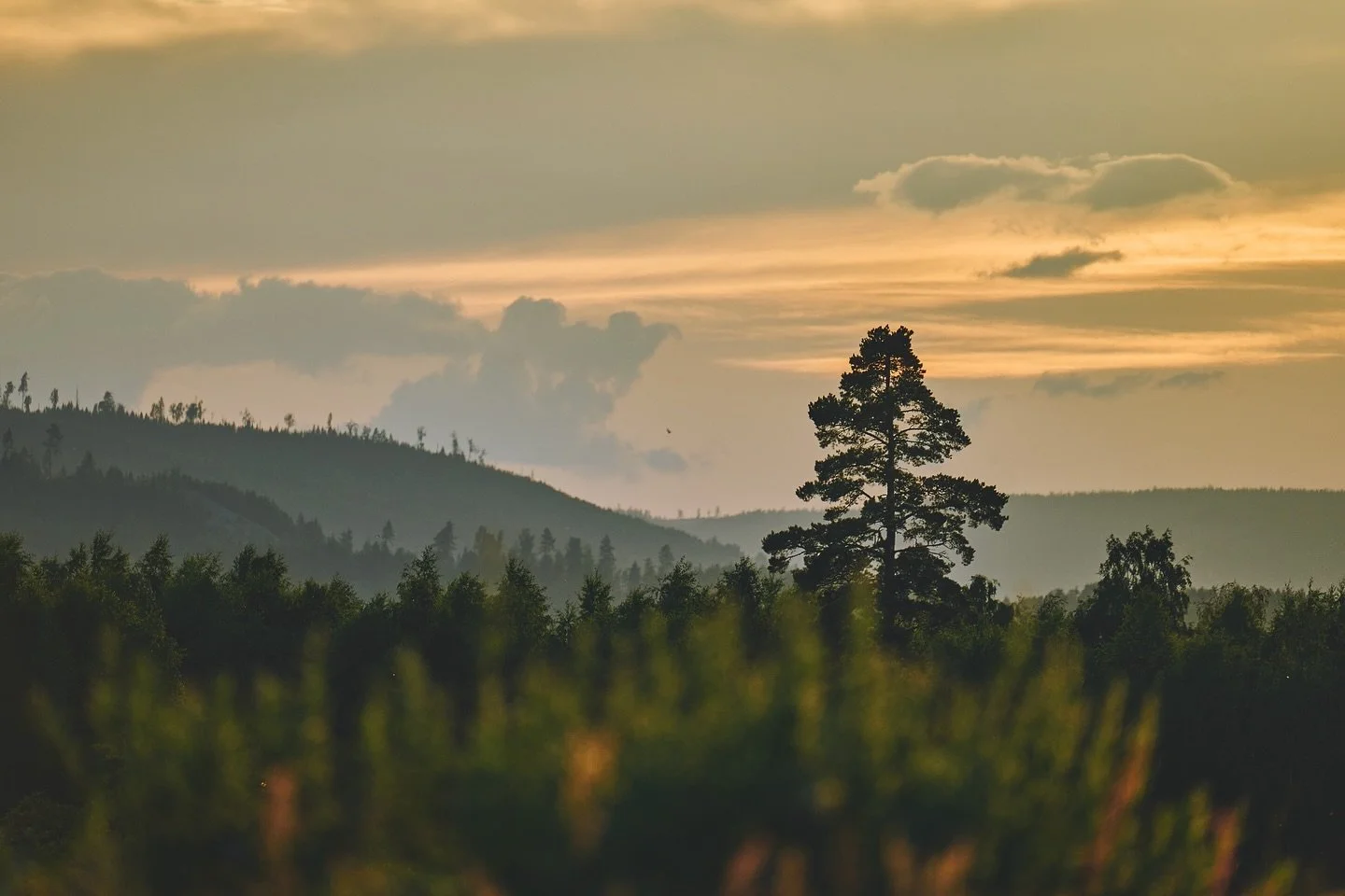 📷 Panasonic Lumix S5 with SIGMA 150-600mm F5-6.3 DG DN OS | Sports

#lumixs5 #lumix #shotonlumix #panasoniclumix #panasonics5 #sigma #sigmanordic #sigma150600 #captureone #photography #landscapephotography #sunset