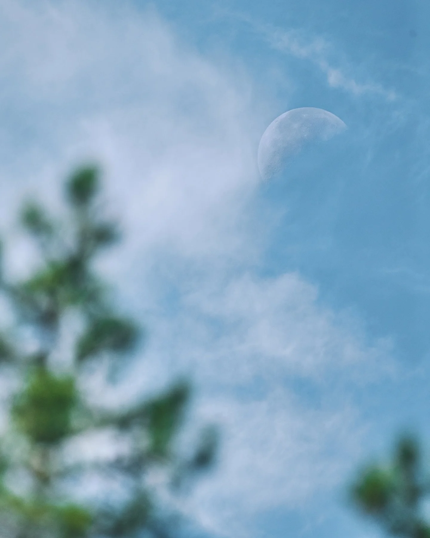 📷 Panasonic Lumix S5 with  SIGMA 150-600mm F5-6.3 DG DN OS | Sports

#lumixs5 #lumix #shotonlumix #panasoniclumix #panasonics5 #sigma #sigmanordic #sigma150600 #captureone #photography #moon