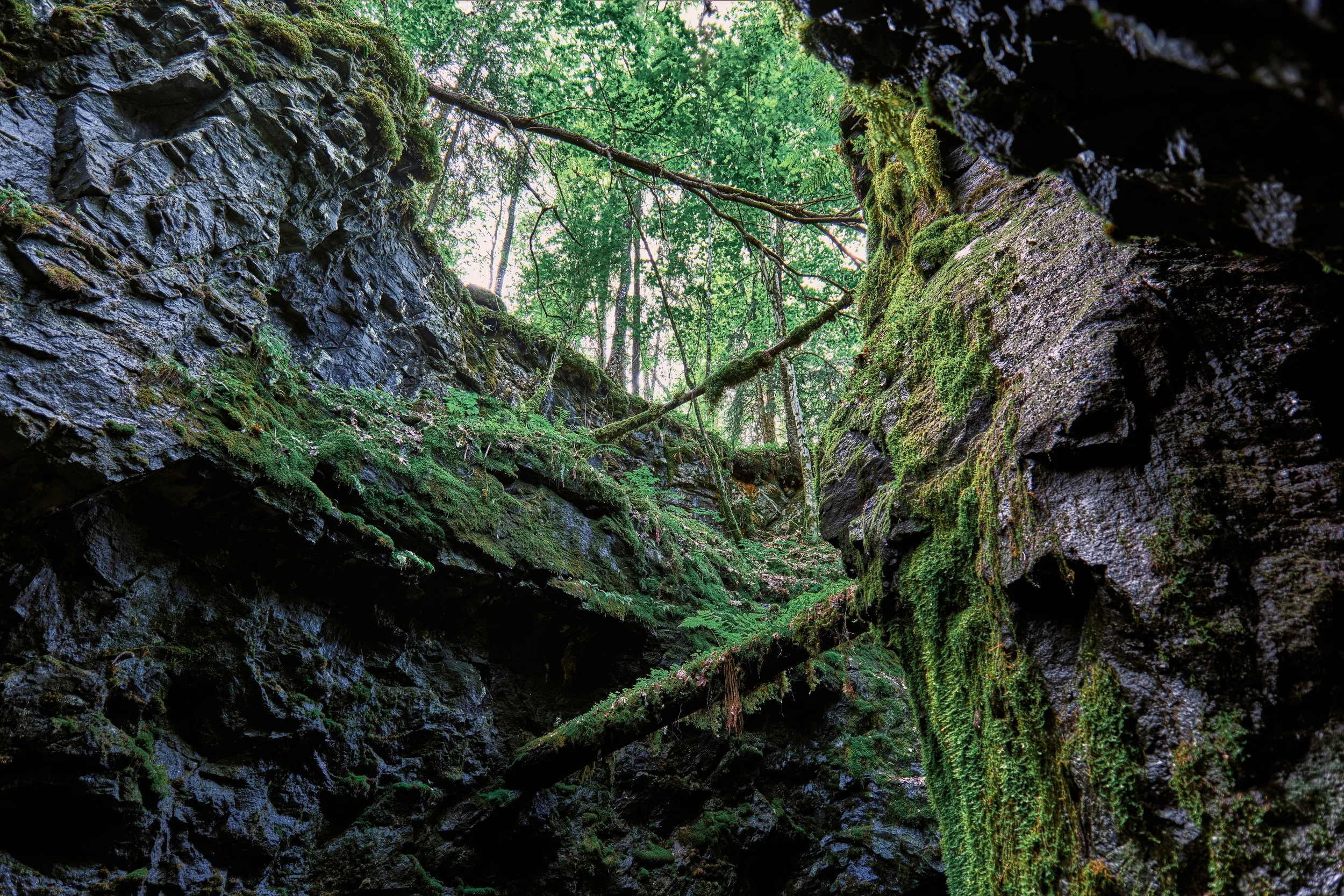 _1010006_HDR.jpg
