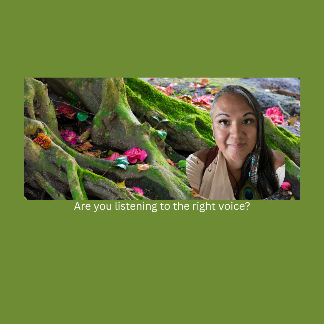 Are you listening to the right voice?