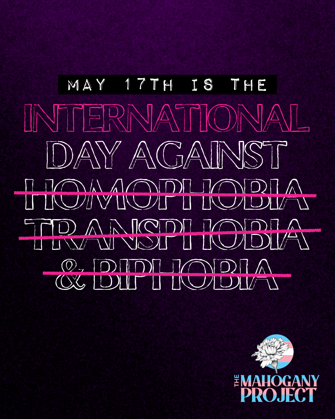 TMP IDAHOBIT 2026.png