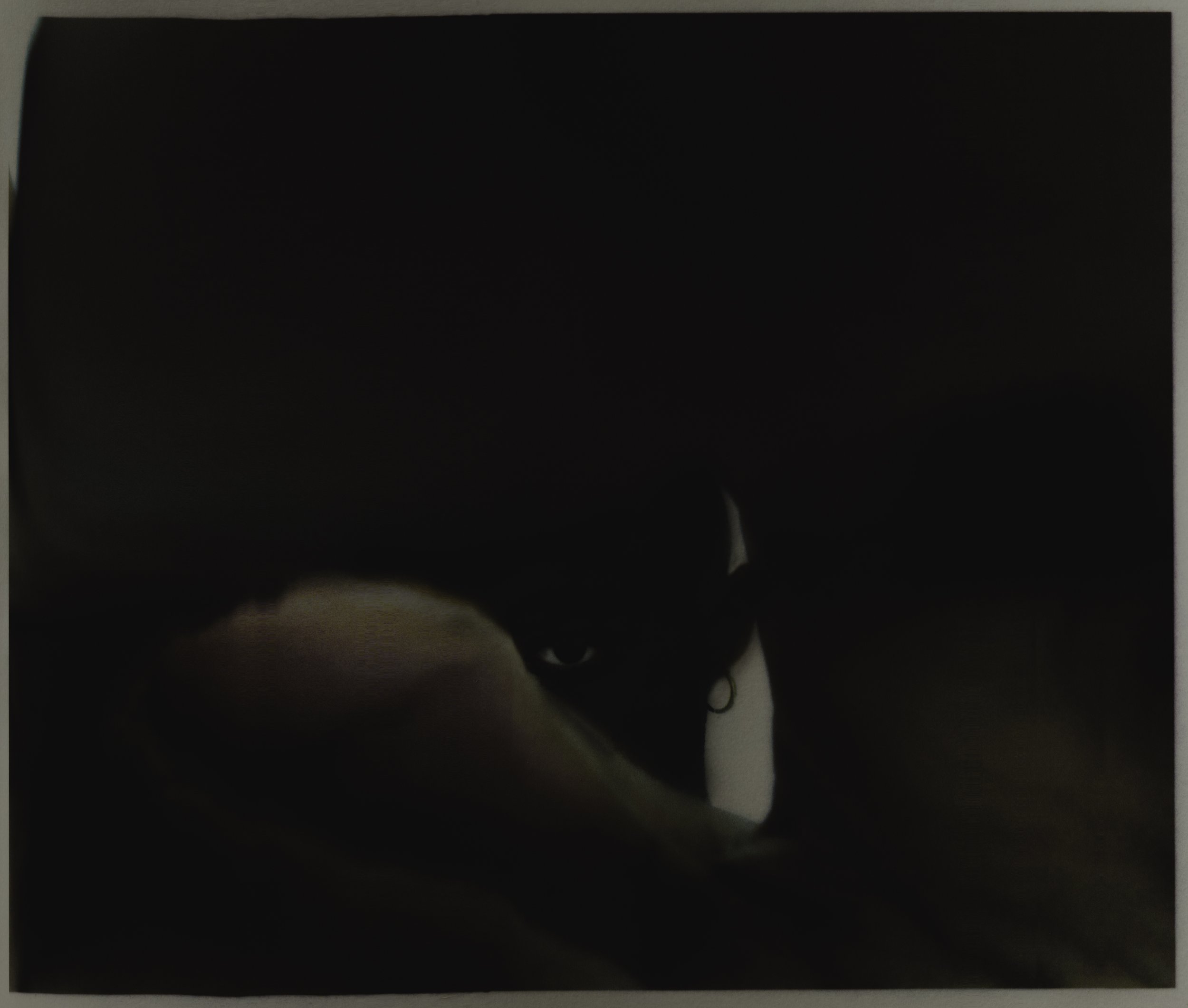 Non-045.jpg