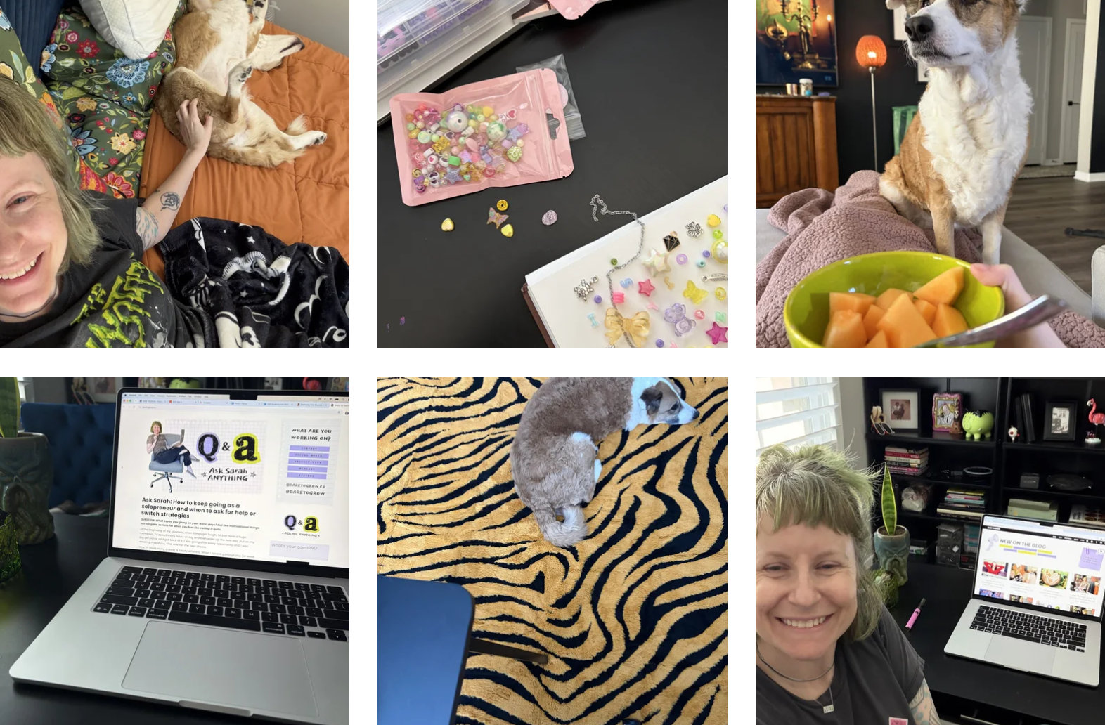 What behind the scenes at Dare to Grow HQ looks like lately
