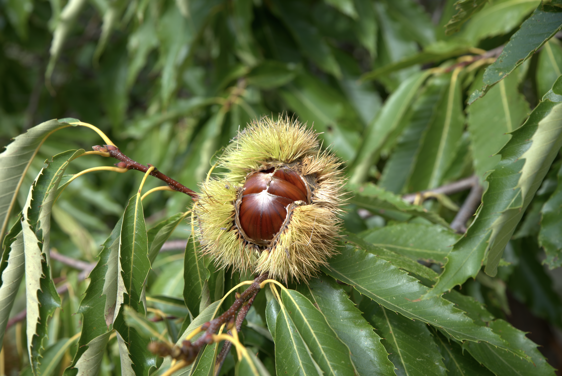 Screenshot 2026-04-03 at 3.07.25 PM.png