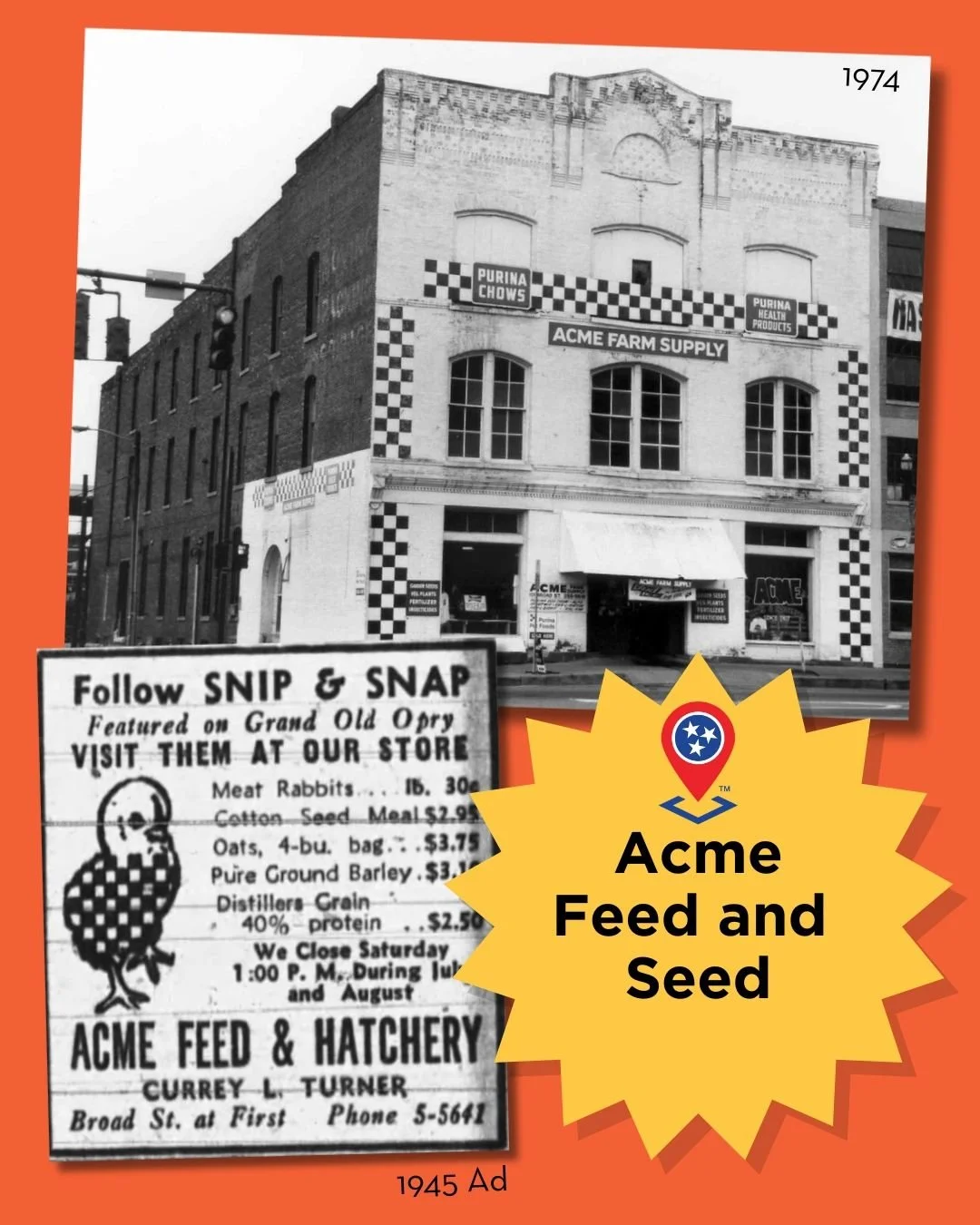 🐓 Opened in 1943, Acme Feed and Seed was once Nashville&rsquo;s go-to farm supply store. Locals came here for livestock feed, flea dips for their dogs, and even a few unusual promotions&mdash;like pigs given away at Purina jamborees or Beautena the 