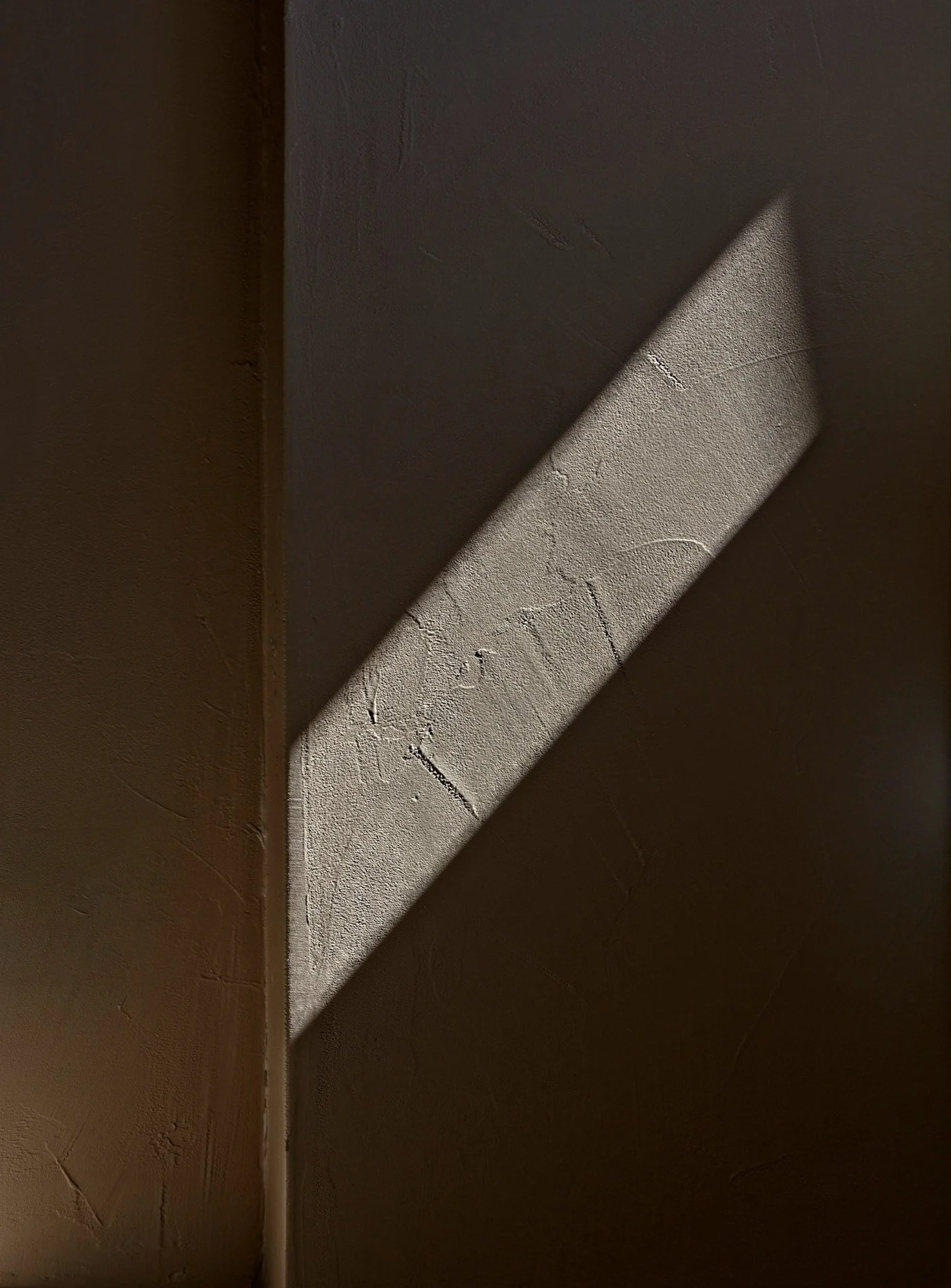 Plaster Finishing Whistler.jpg