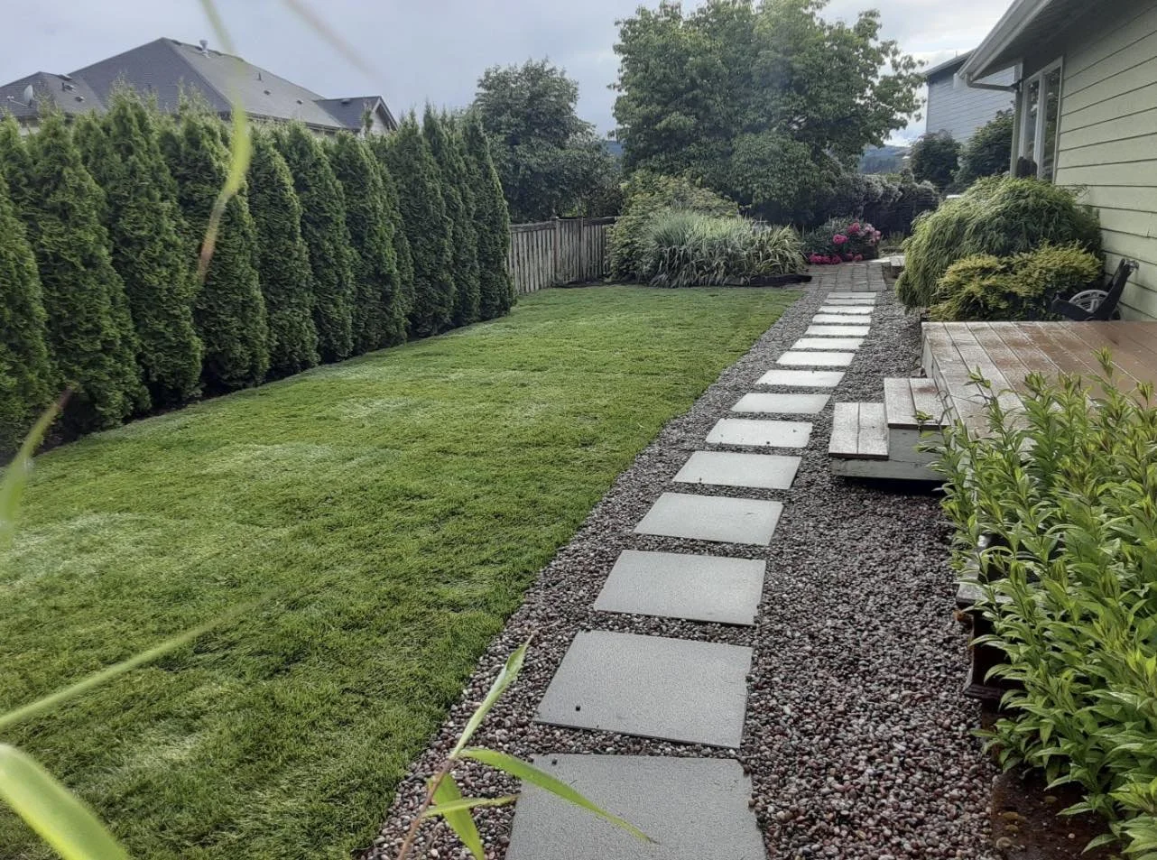A backyard with a well-maintained lawn, a stone pathway, and surrounding bushes and trees.