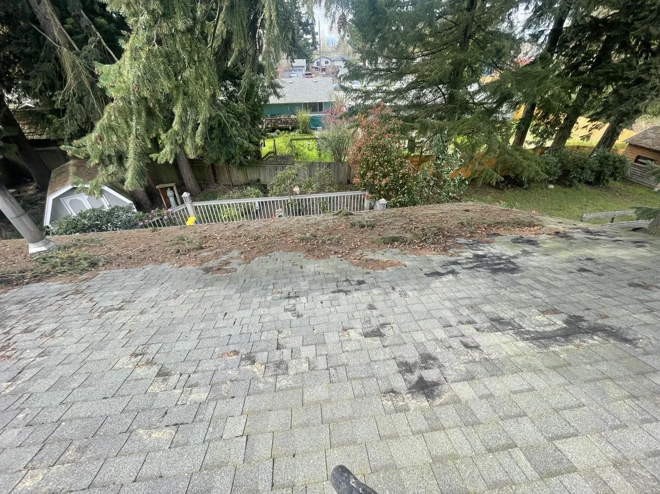 A backyard seen from a hilltop, showing a paved patio, a dirt area, trees, shrubs, a garden fence, and neighboring houses in the background.