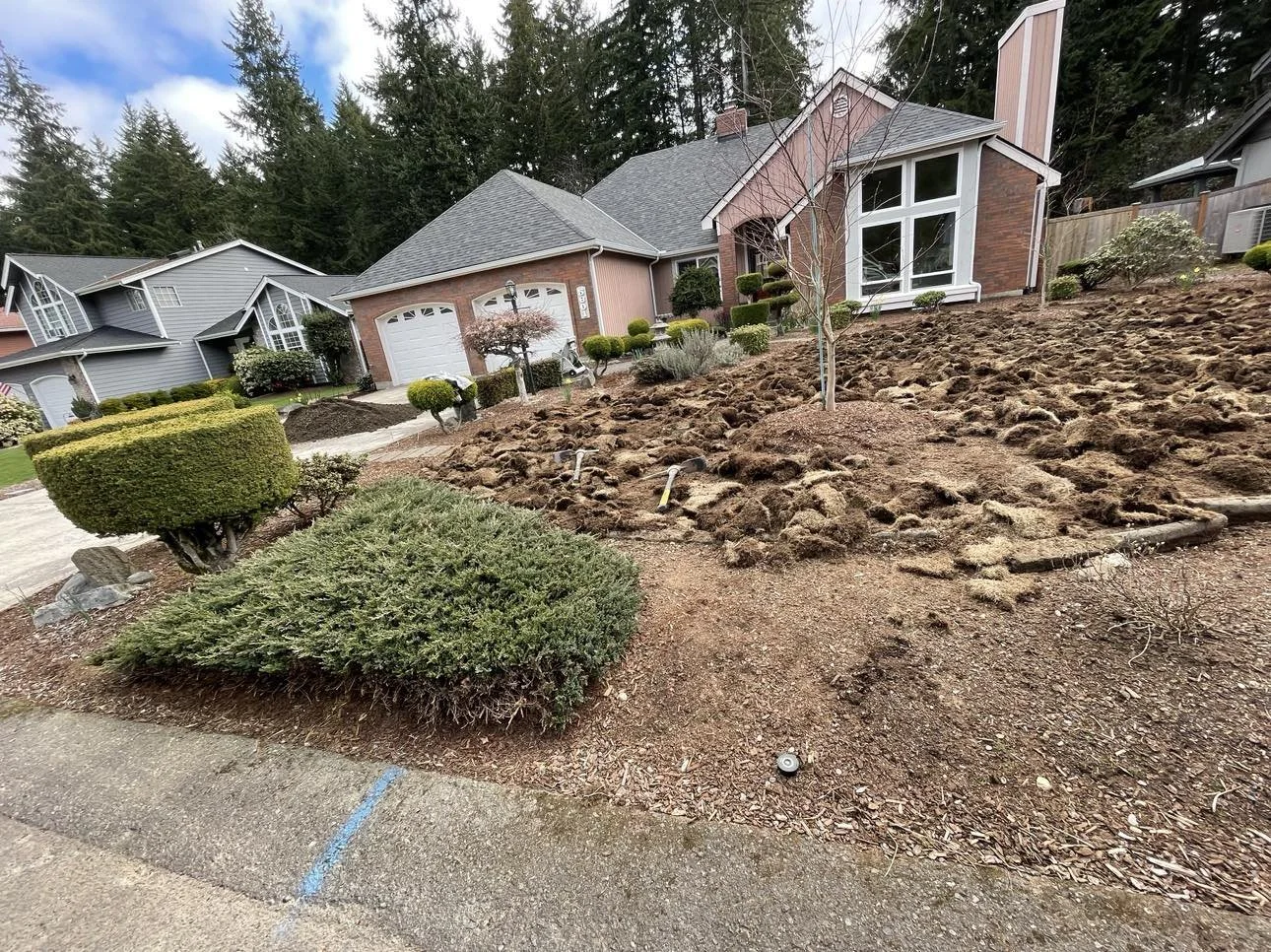 Front yard of a house with landscaping work in progress, soil and rocks are dug up, several small bushes and a bare tree are visible, neighboring houses and trees in the background.