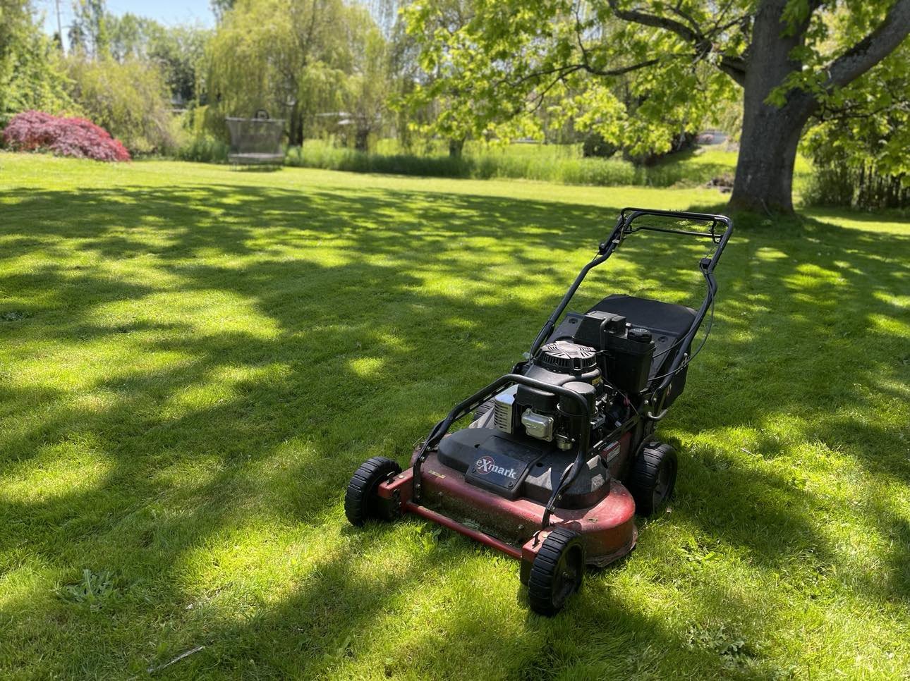 Lawn mower on a grassy backyard under a large tree with shade, in a sunny outdoor setting.