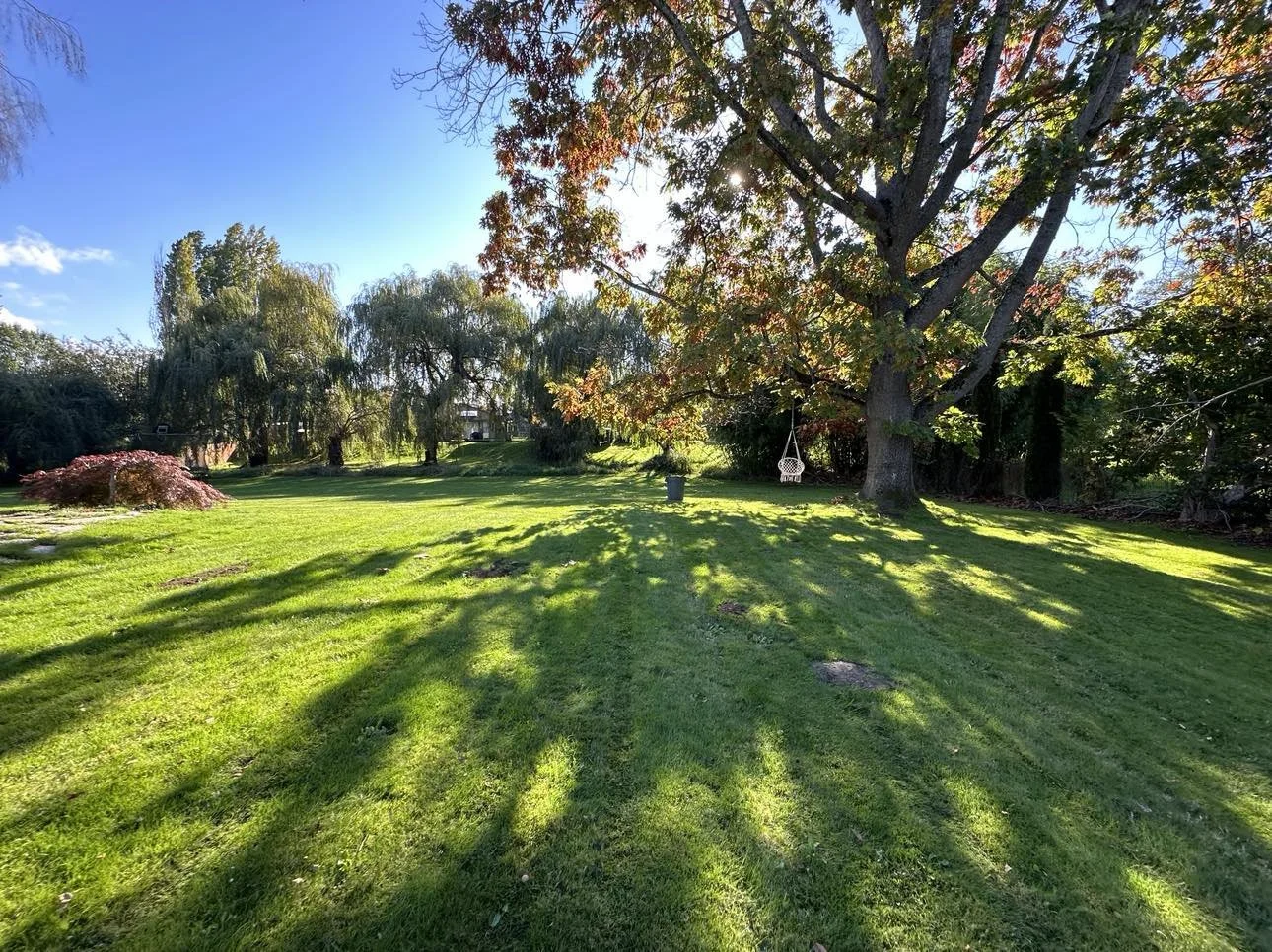 A bright sunny park scene with green grass, large trees casting long shadows, and a hanging swing chair near a big tree.
