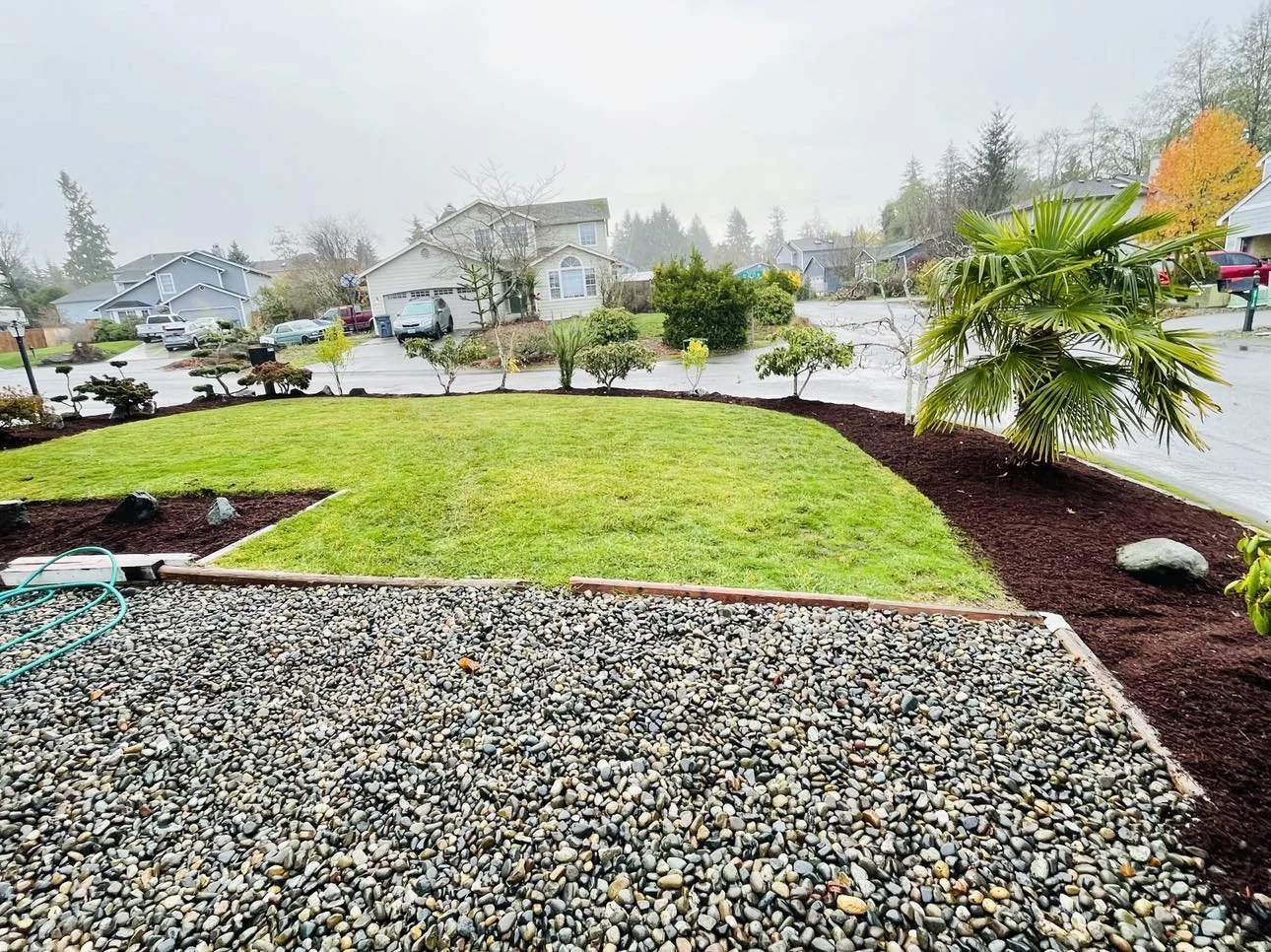 A landscaped front yard on a rainy day with a gravel pathway, a green lawn, and tropical plants, with houses and cars in the background.