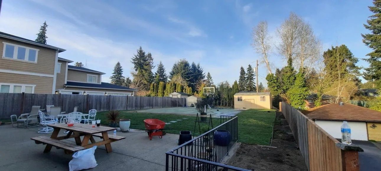 Backyard view with patio furniture, a picnic table, a green lawn, a basketball hoop, and trees under a blue sky.
