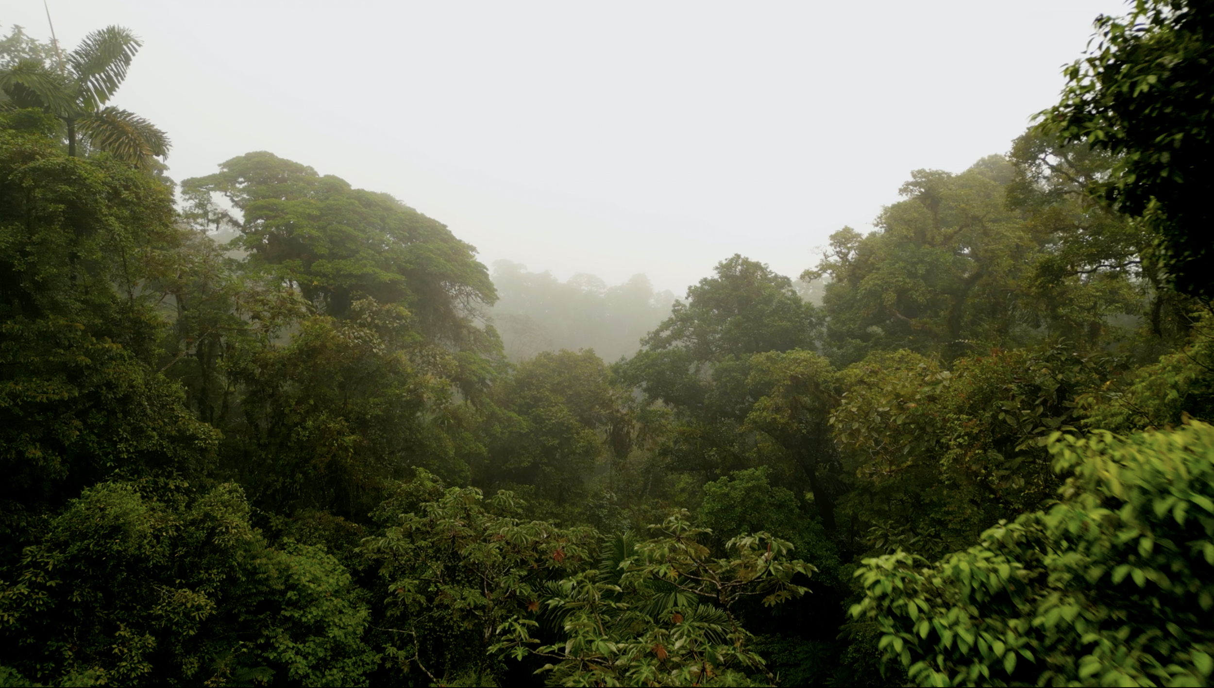 Screenshot 2026-03-18 at 4.26.22 PM.png