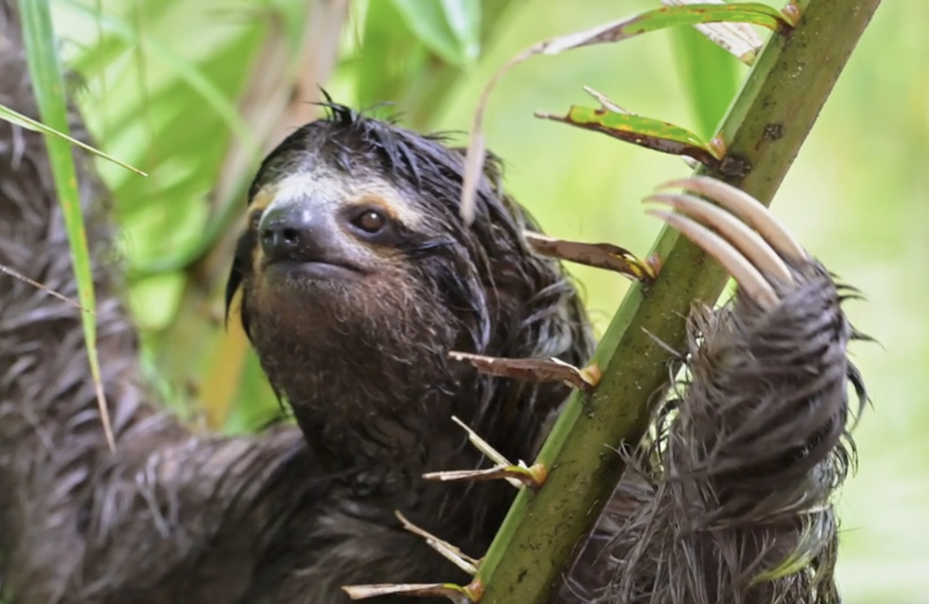 Screenshot 2026-03-16 at 1.03.48 PM.png