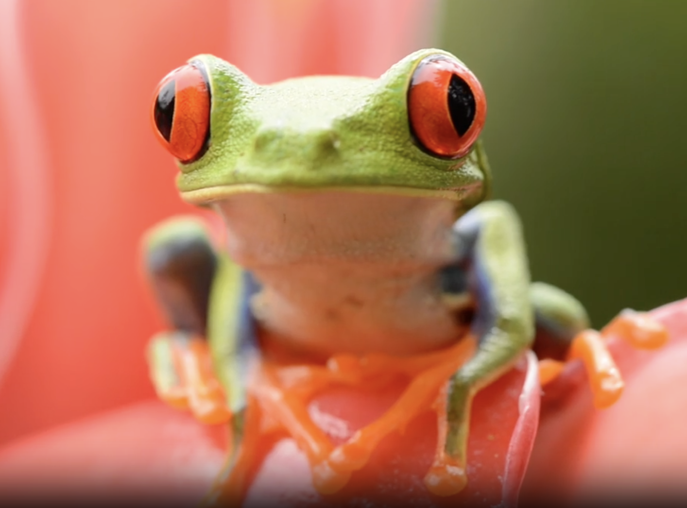 Screenshot 2026-03-16 at 1.20.06 PM.png