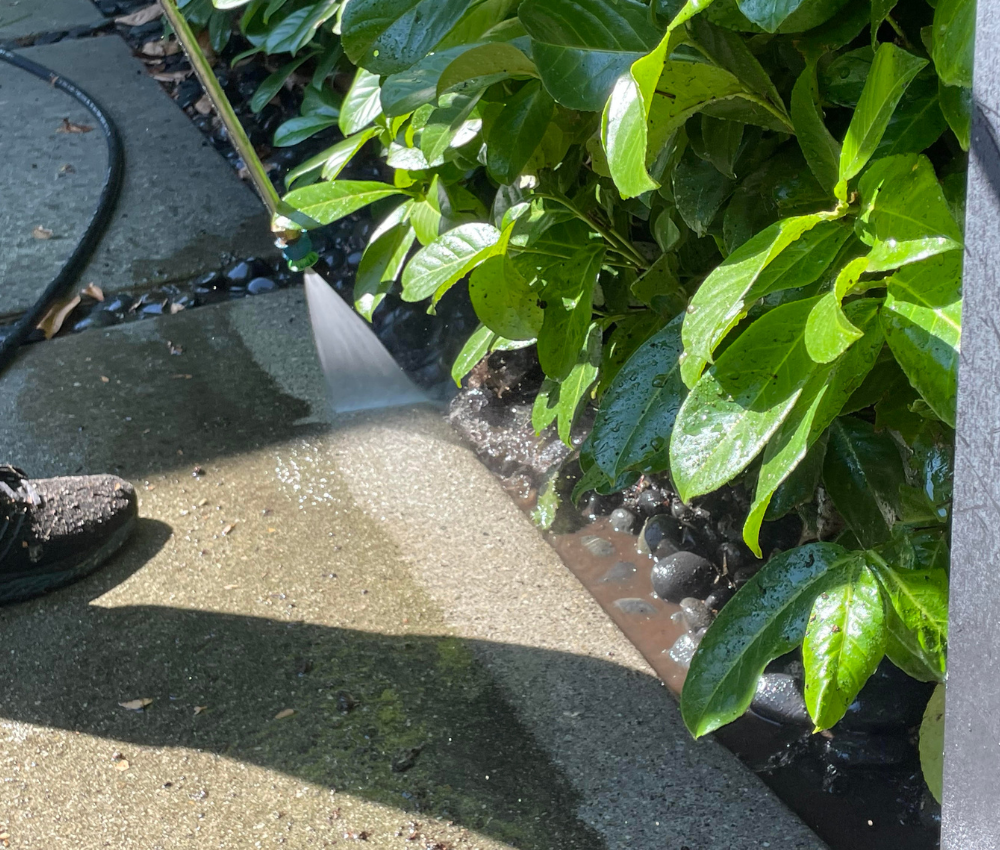 beforeandafterpart2-driveway (2).png