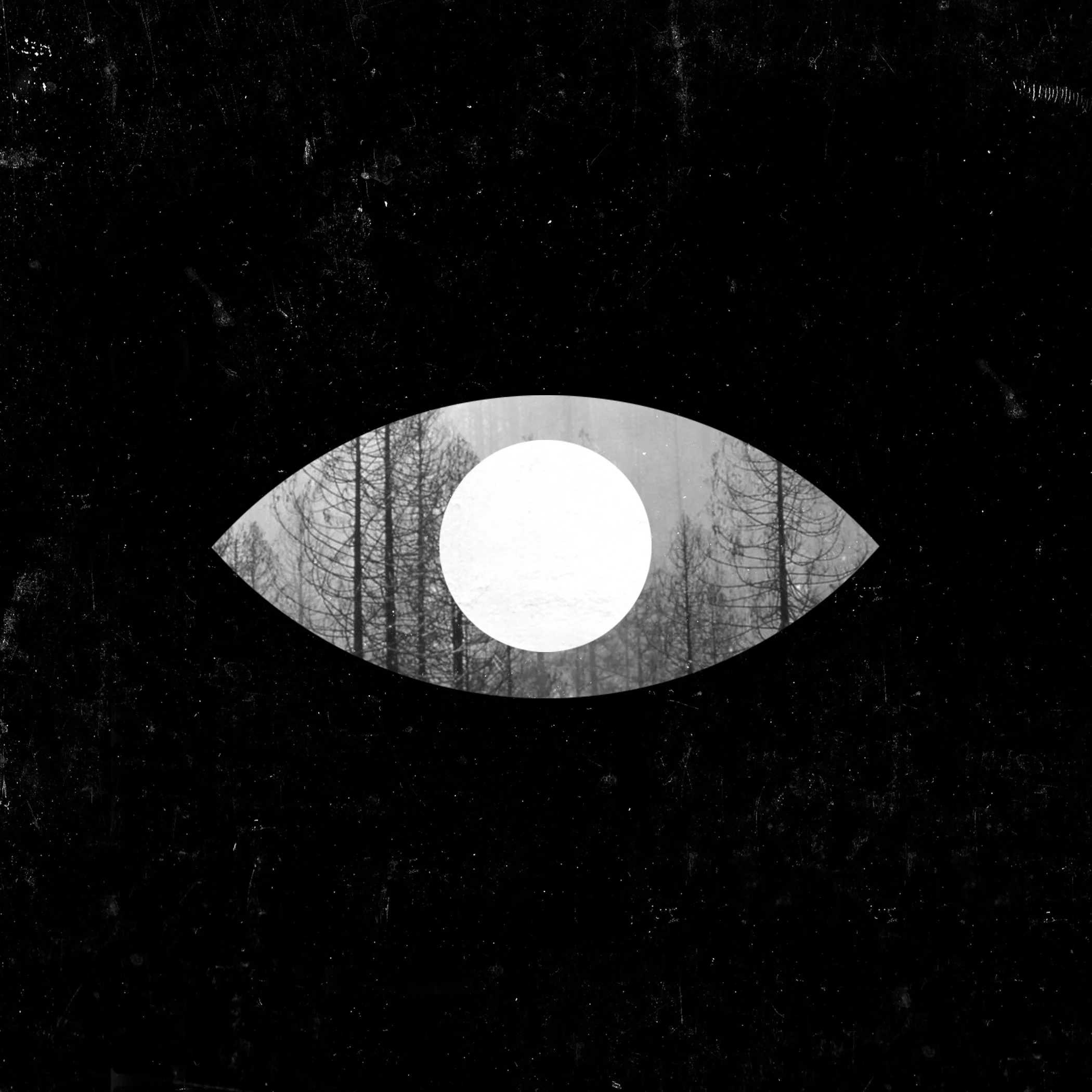 aic_vinyl_labels copy.jpg