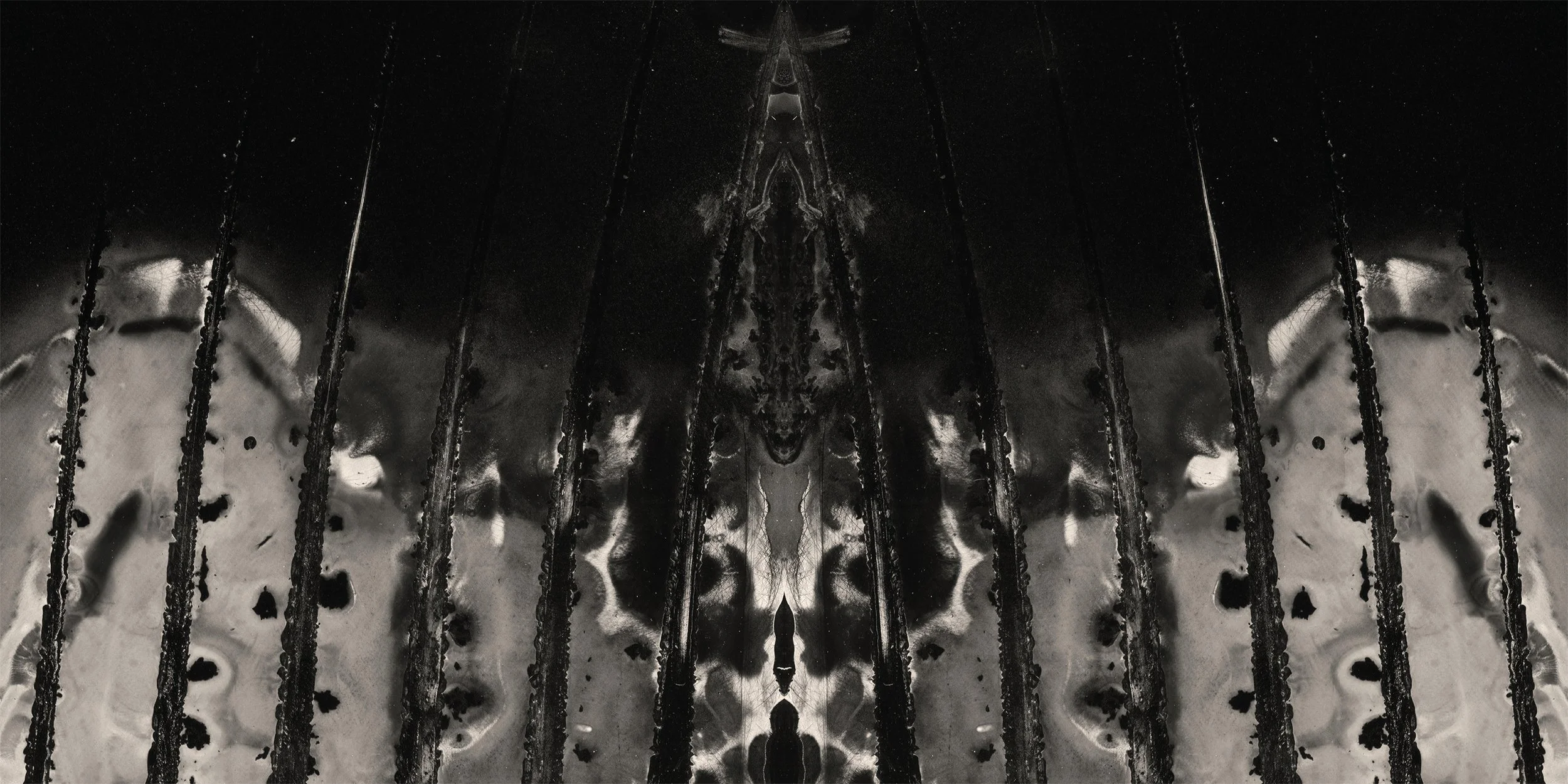 BLLYHWRDL-WNW_08 copy.jpg